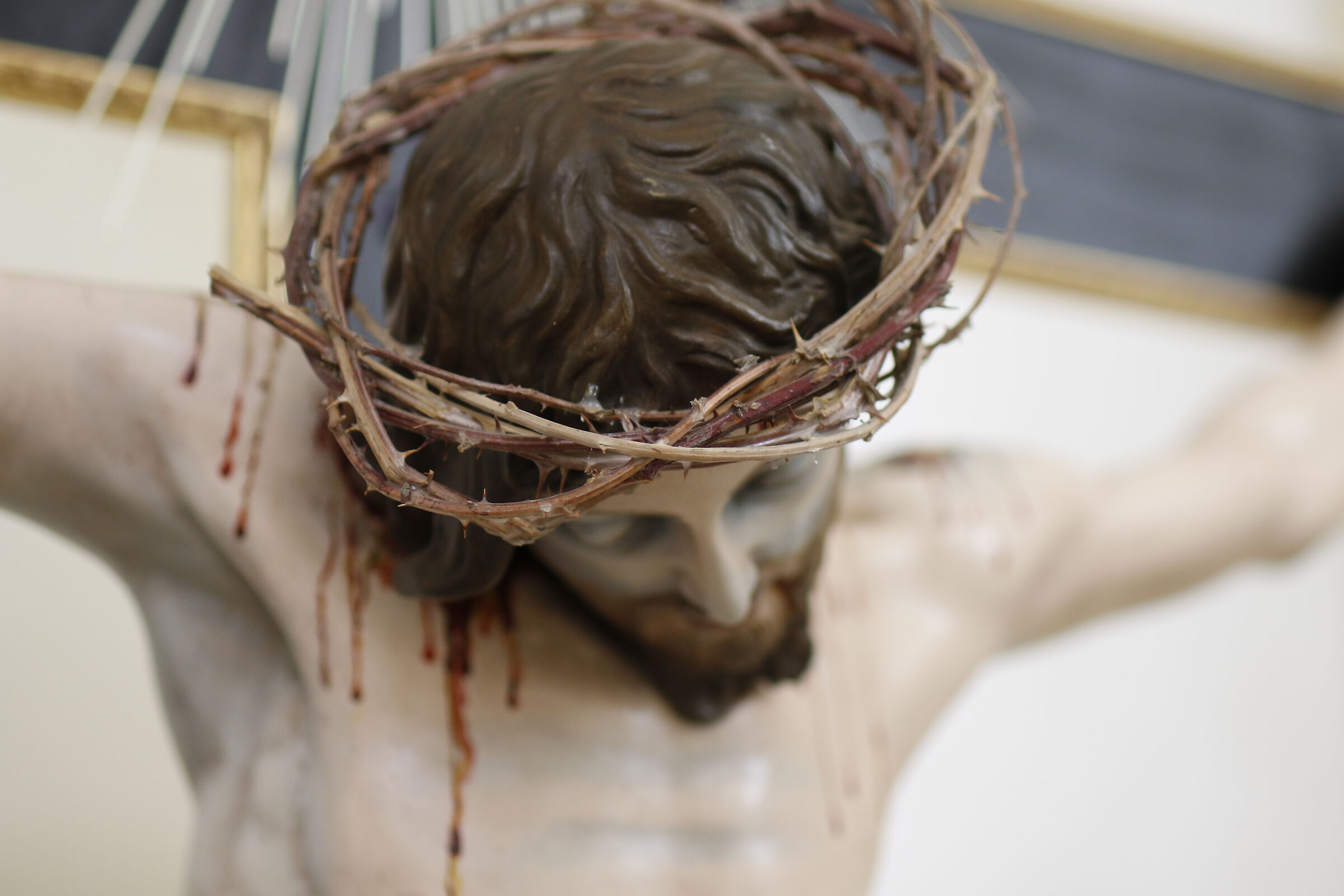 " @ F. 1.8 ", Milvus Z. 50, 1.4 - Canon 7 D II