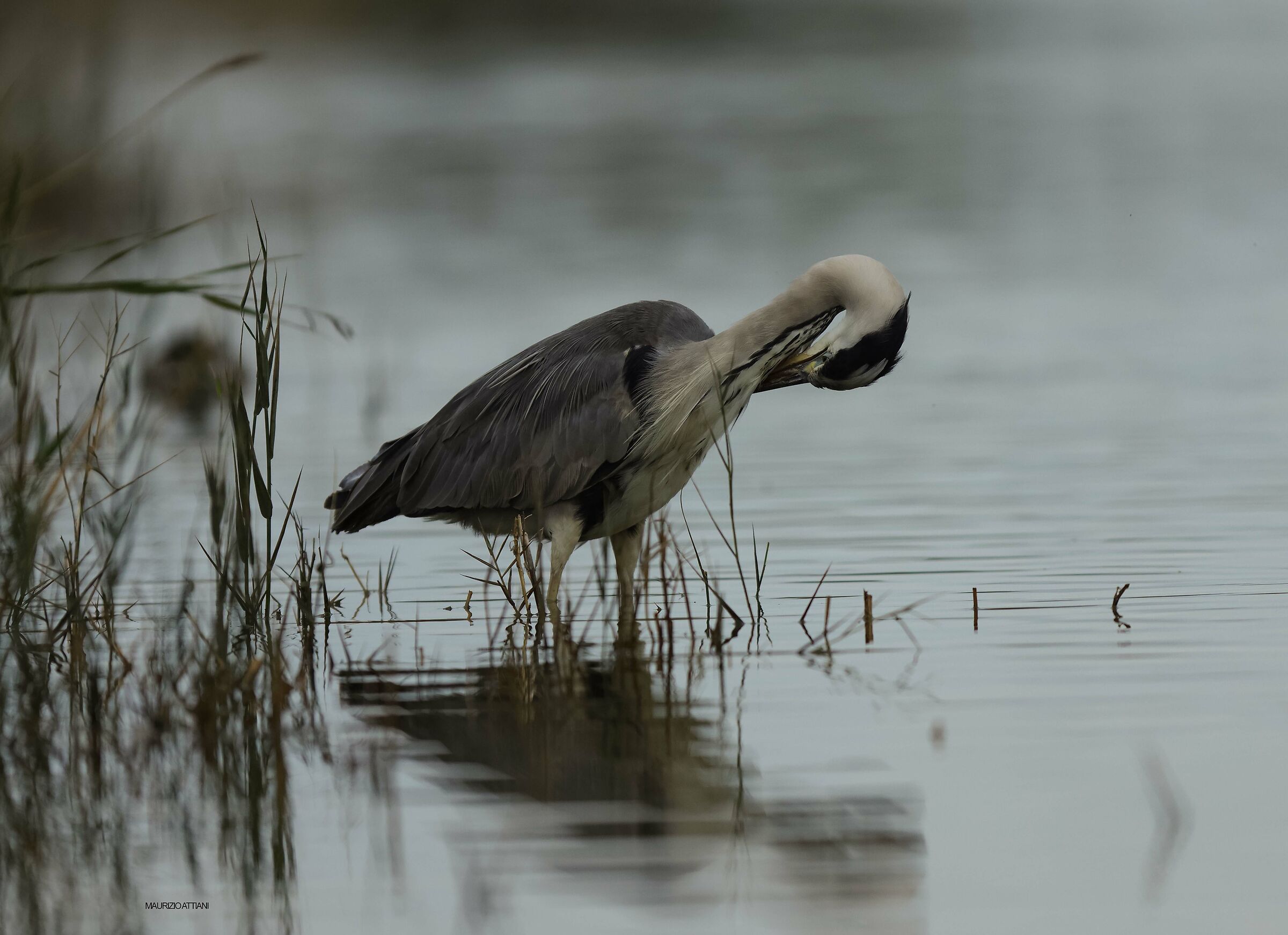 Early morning cleaning