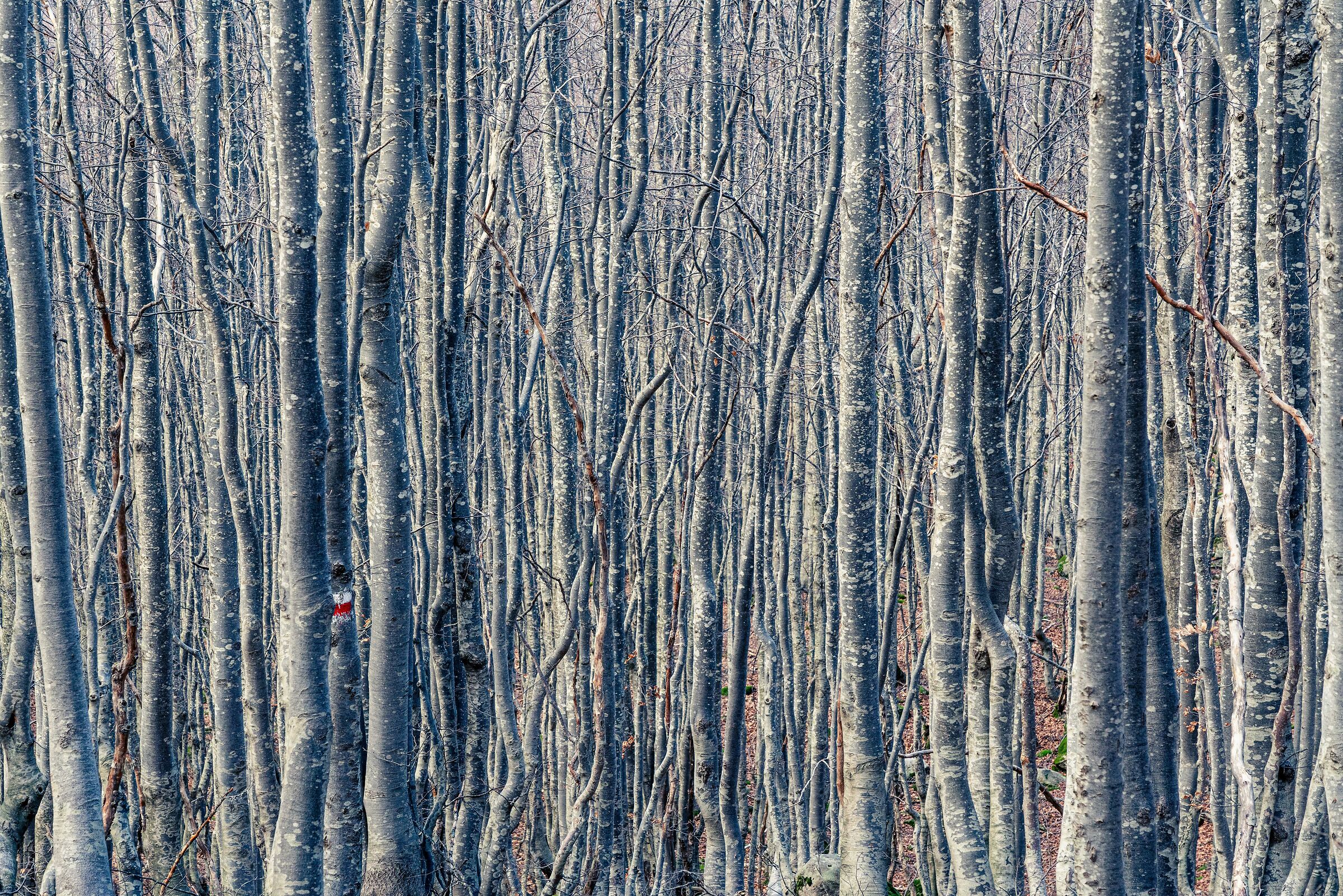 Situazioni intricate