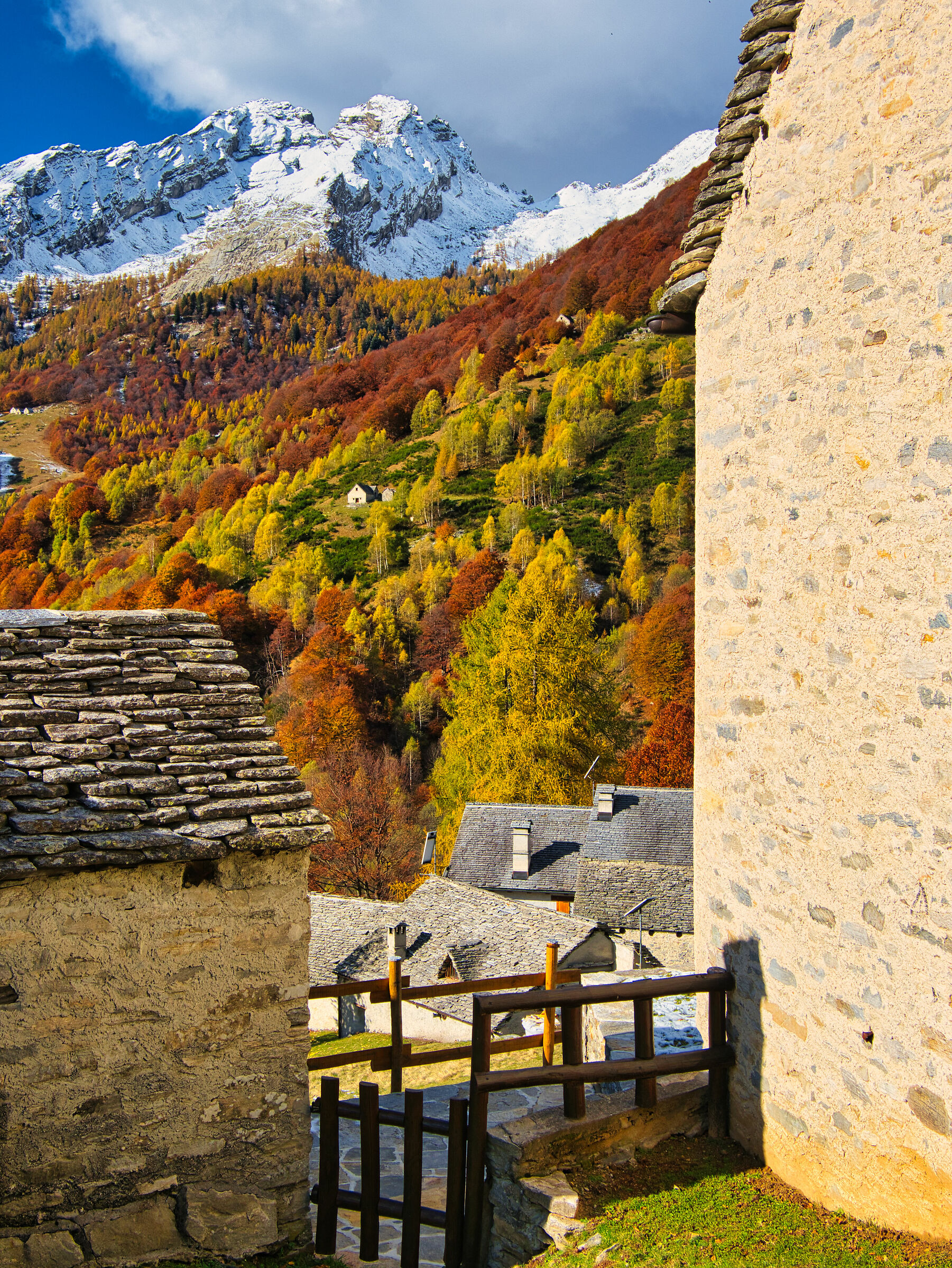 Autumn glimpses