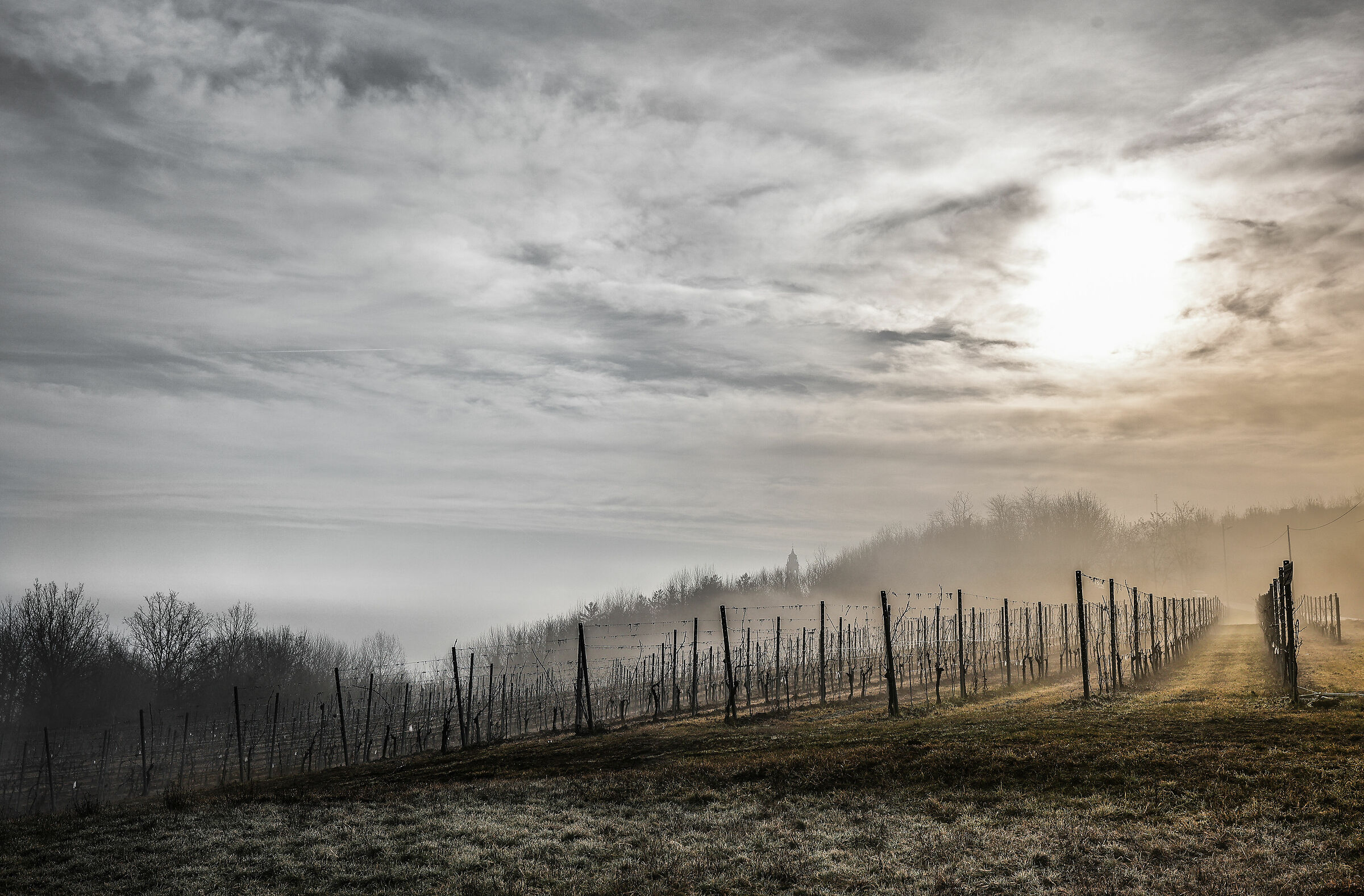 quando la nebbia cede al sole