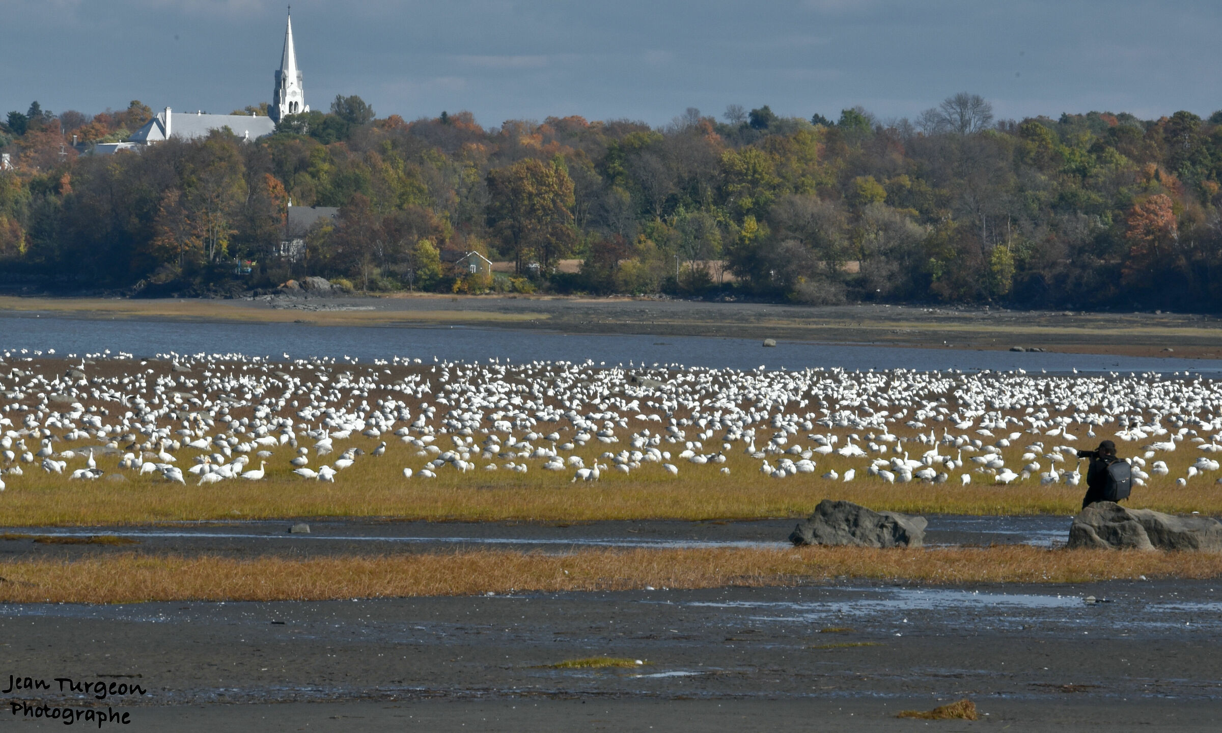 This photographer relaxes in front of this “geee”...