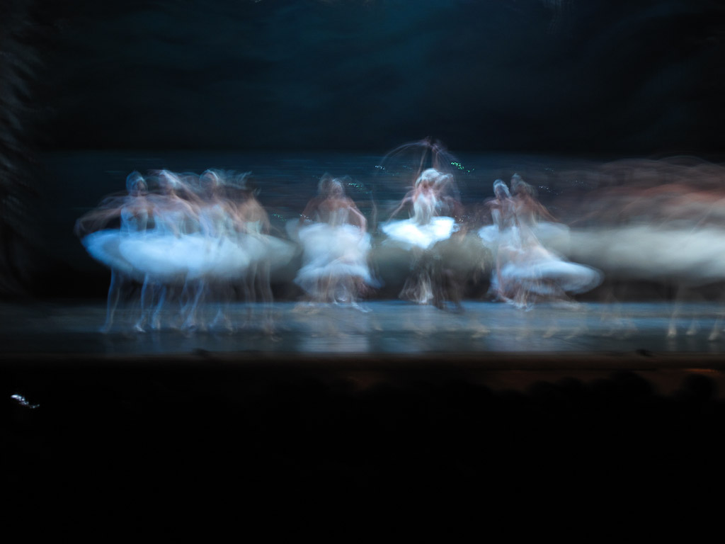 Swan lake