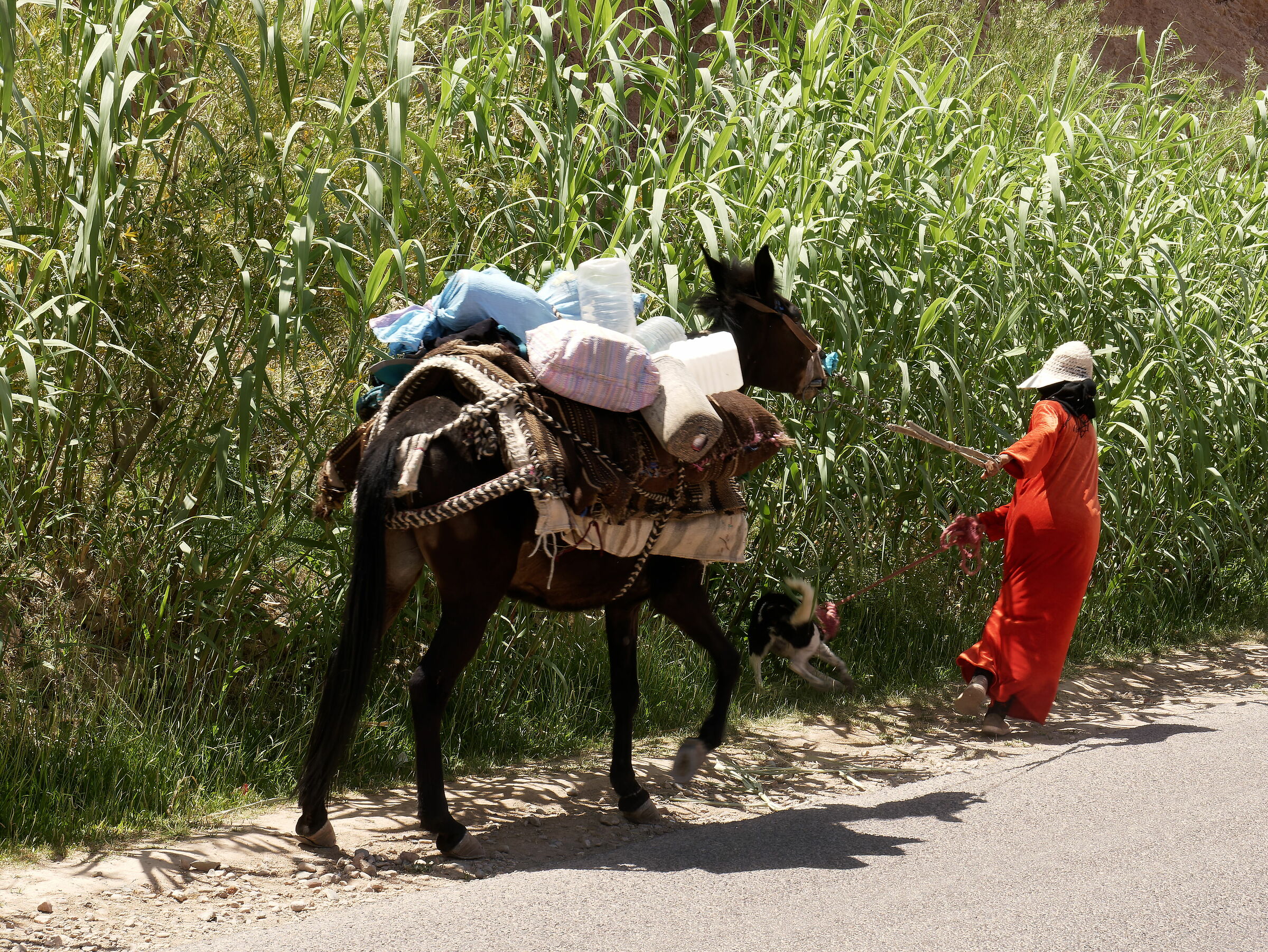 Along the Atlas Mountains