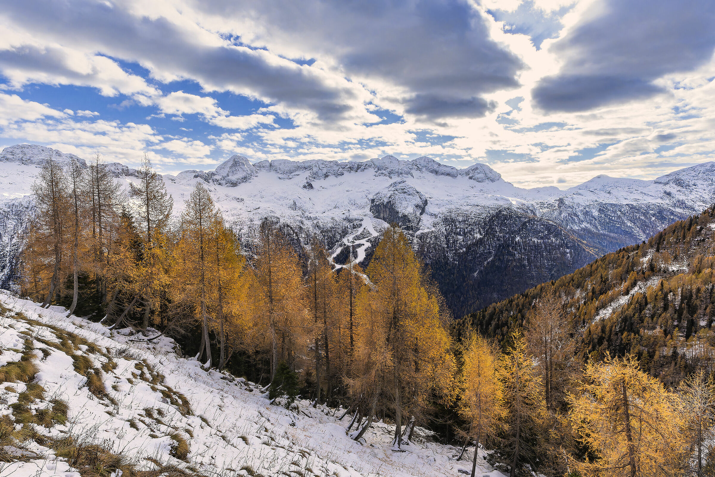 Gruppo Canin dal  Cregnedul