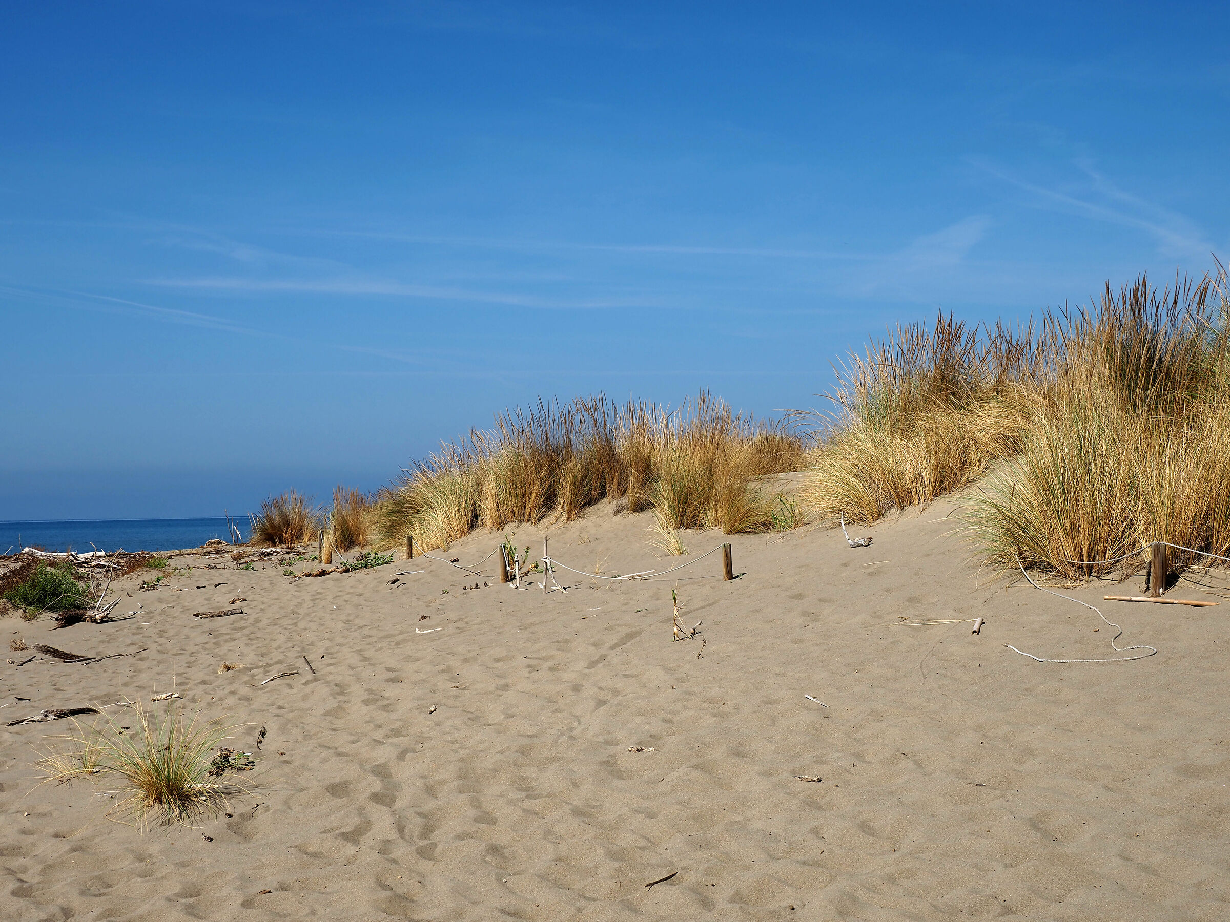 spiaggia di collelungo (Maremma)