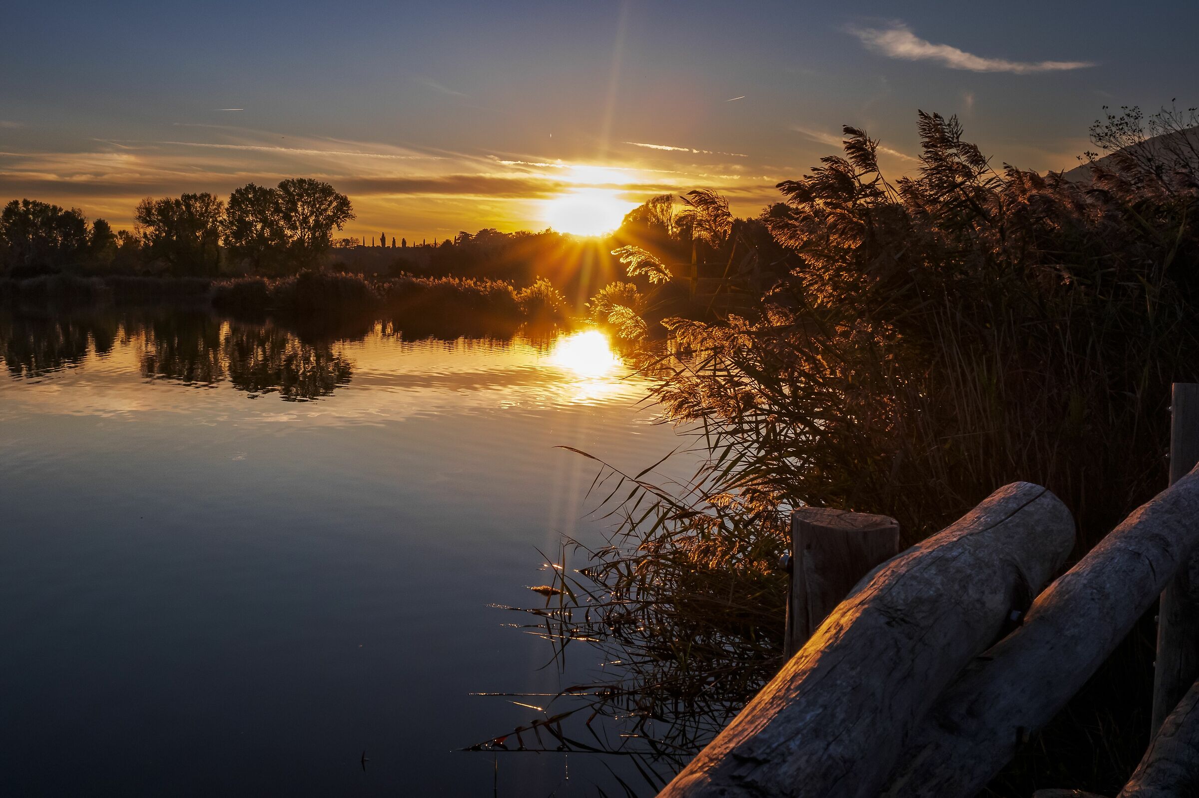 Last light in peat bog