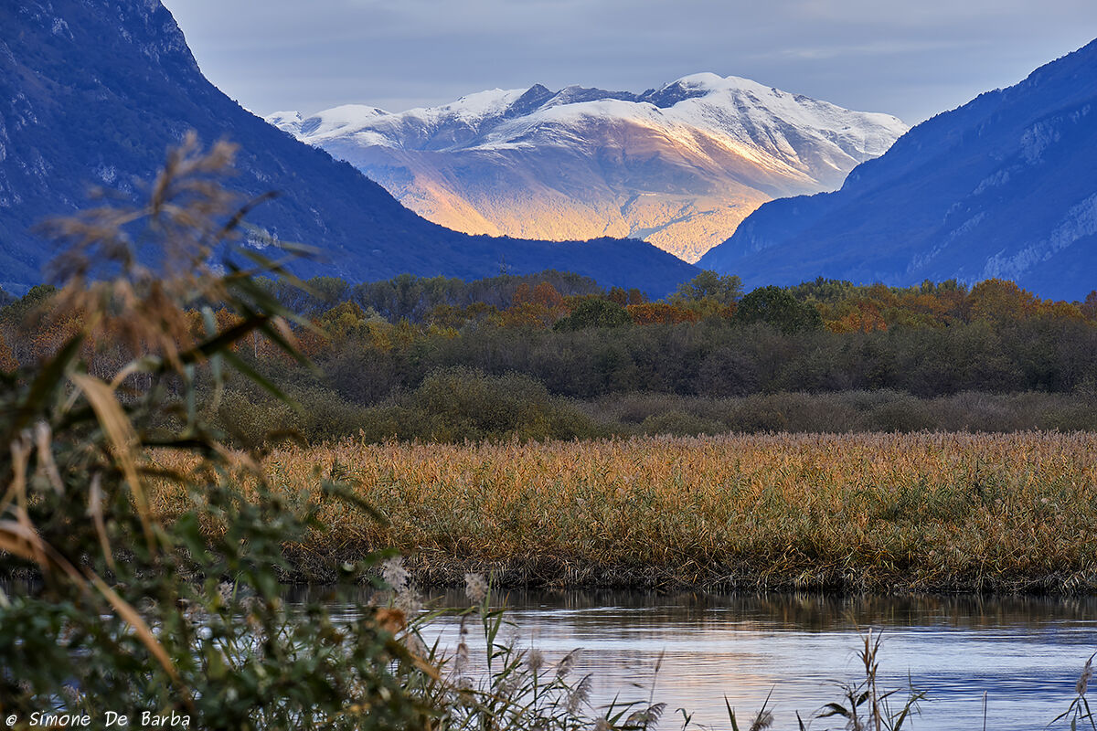 That light you don't expect