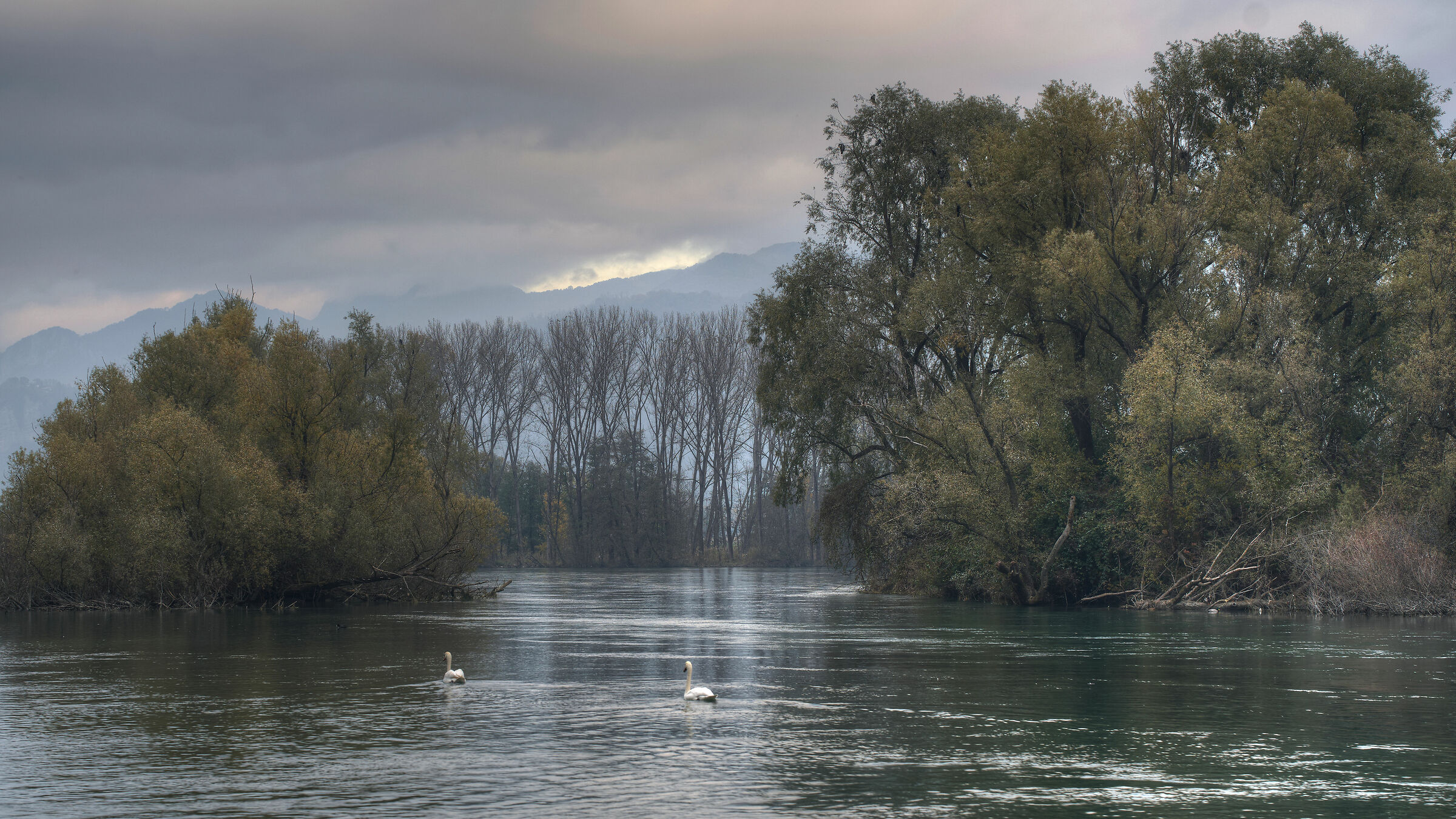 Brivio 14 Nov
