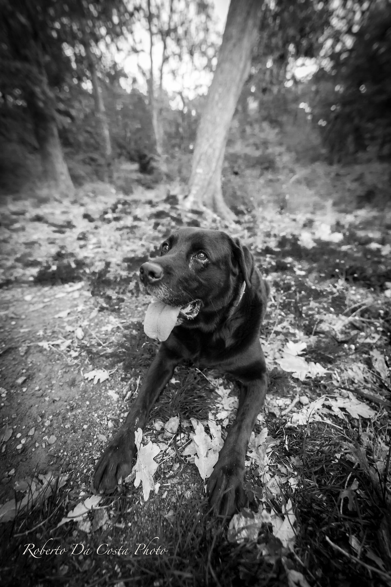 Camilla BW my Top Model