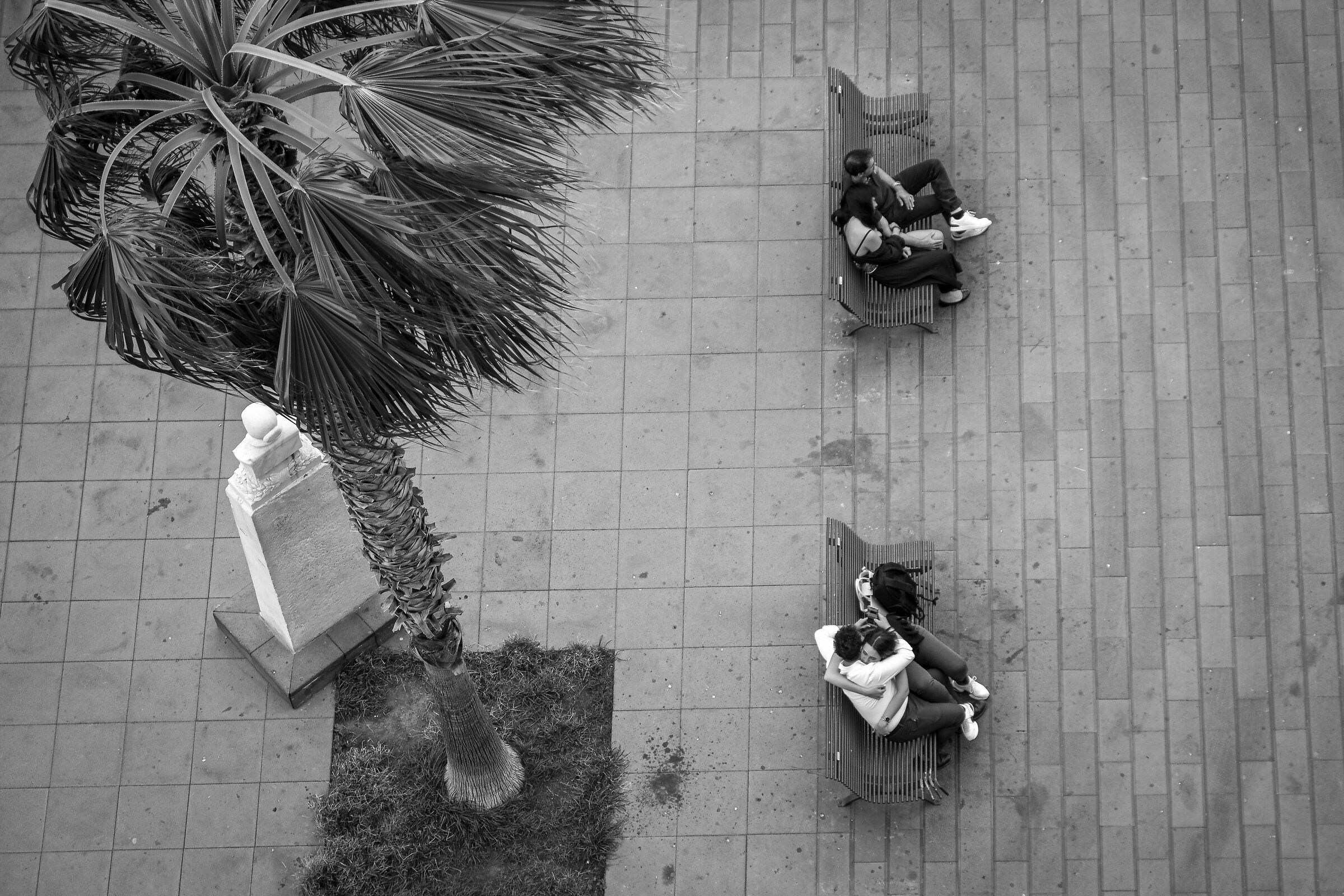 L'abbraccio distratto