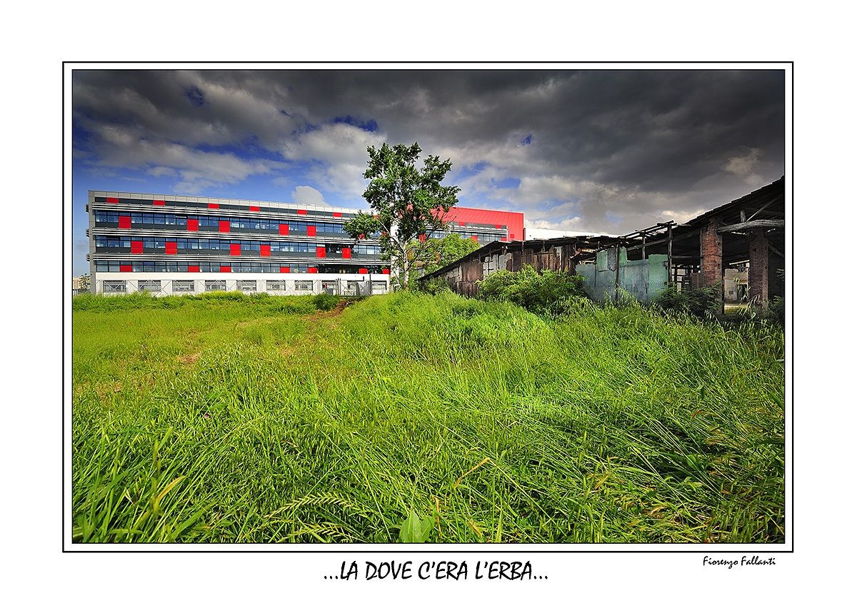 La, where there was grass ...