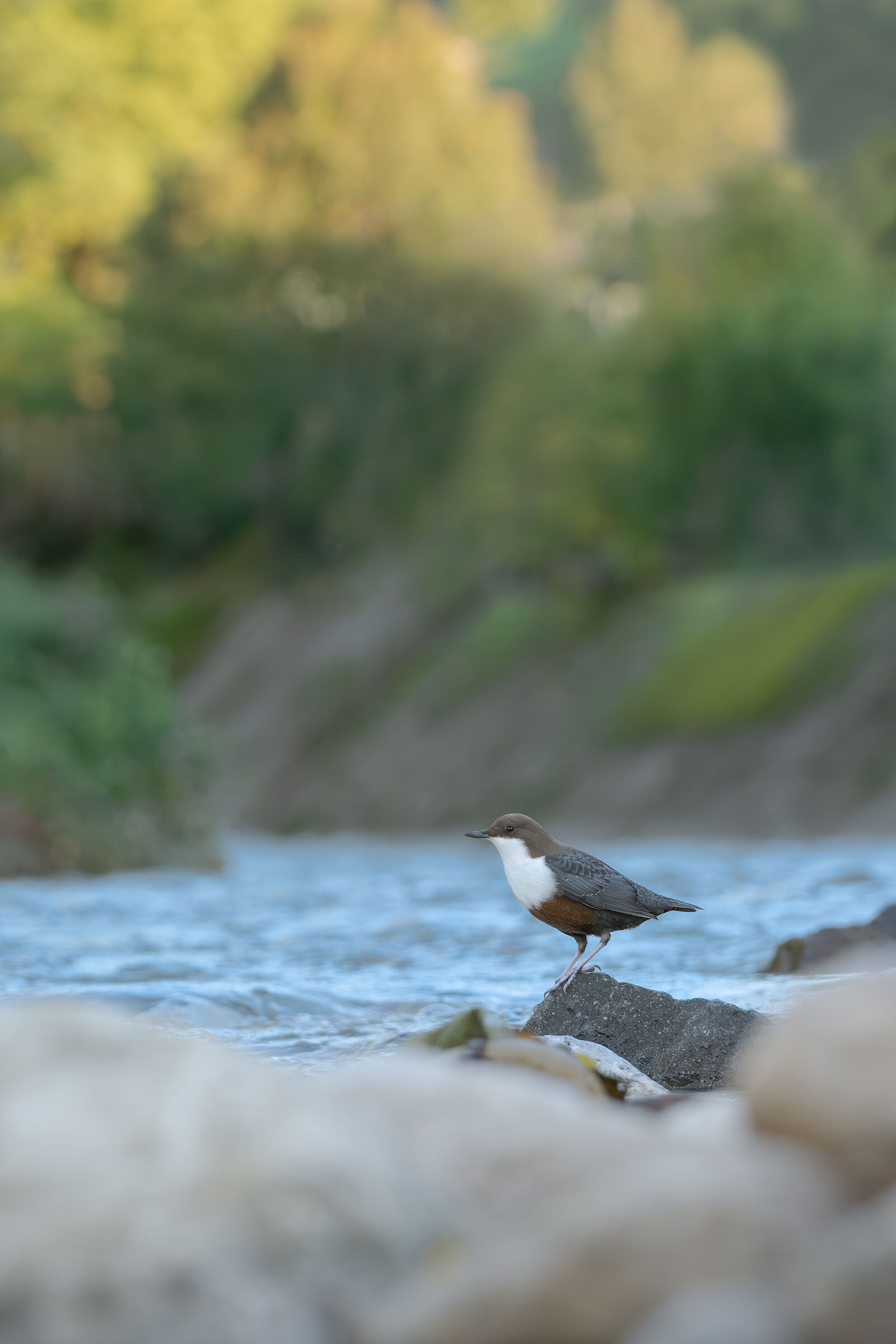 Dove eravamo rimasti?