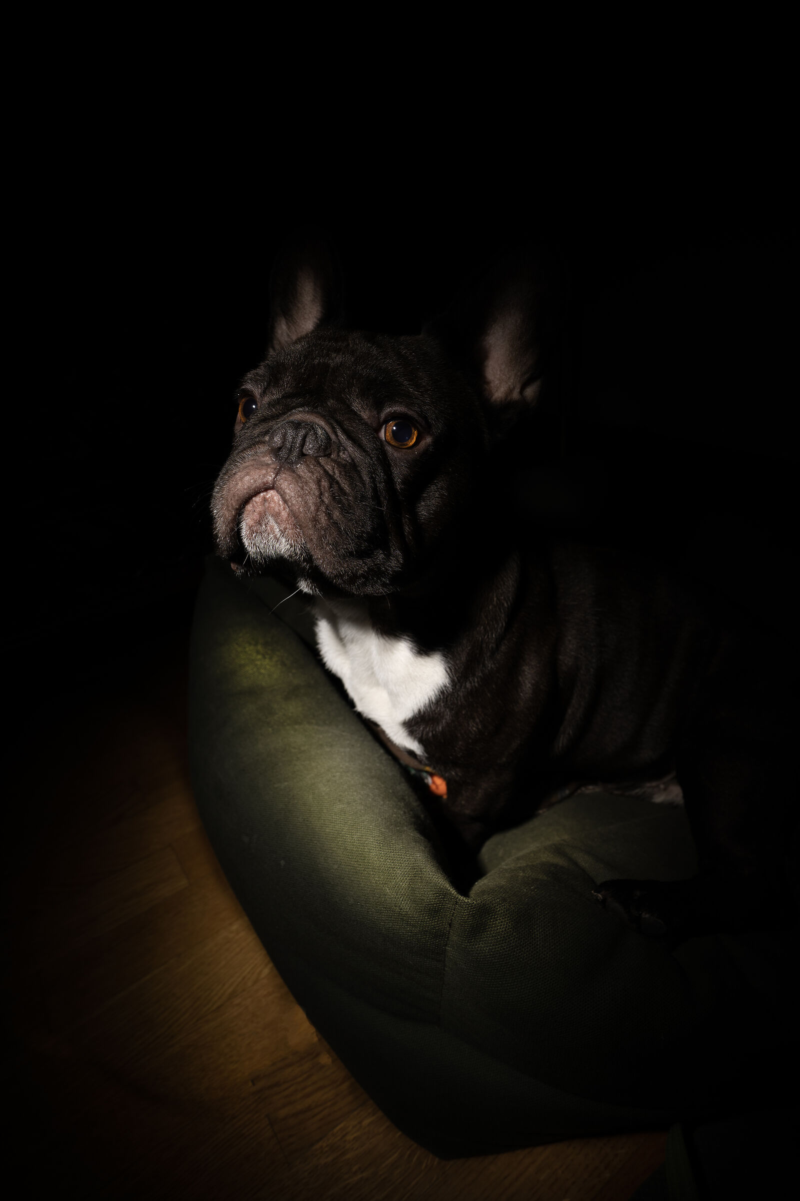 Nikon z 20mm