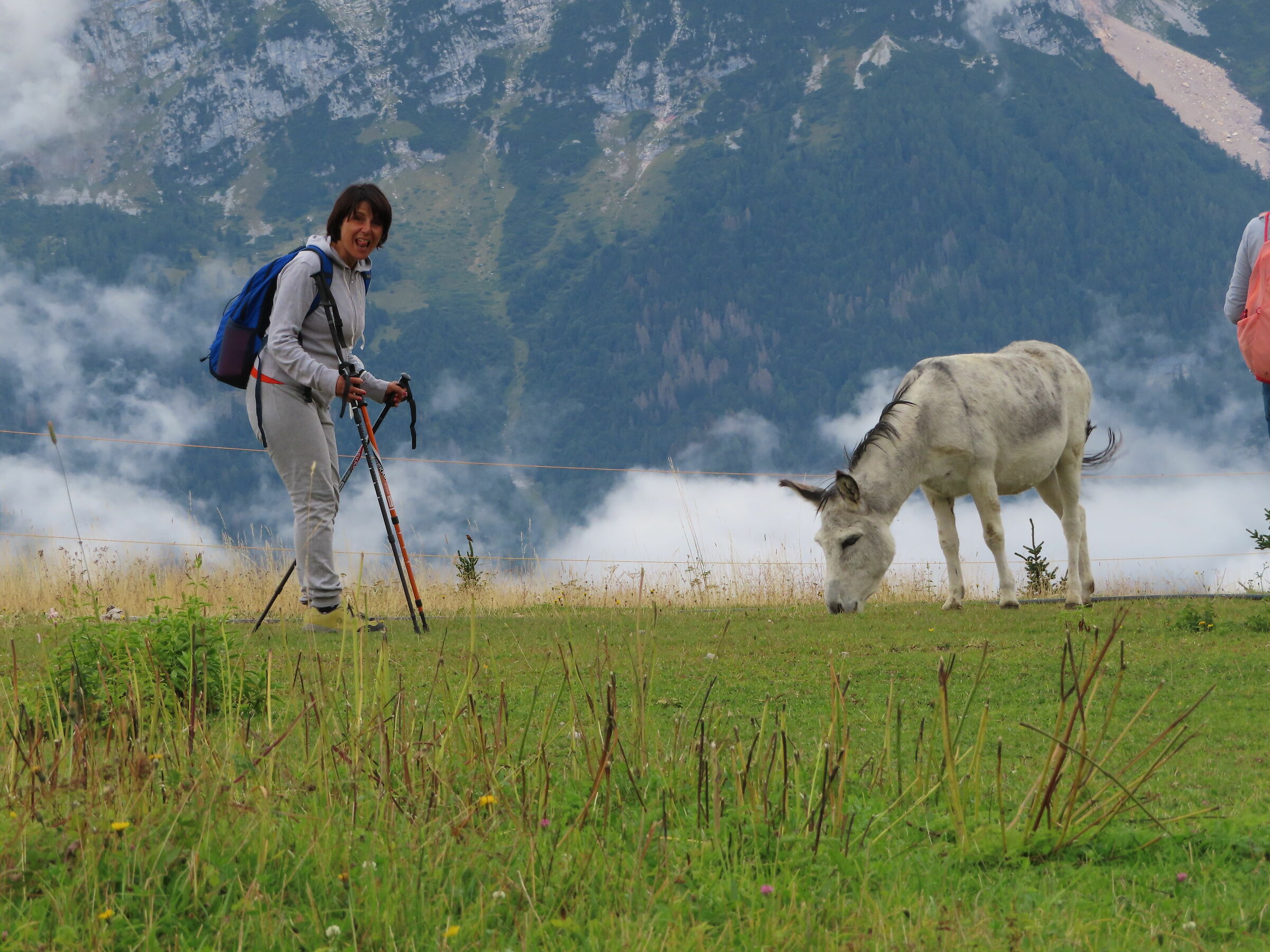 Gita innTrentino