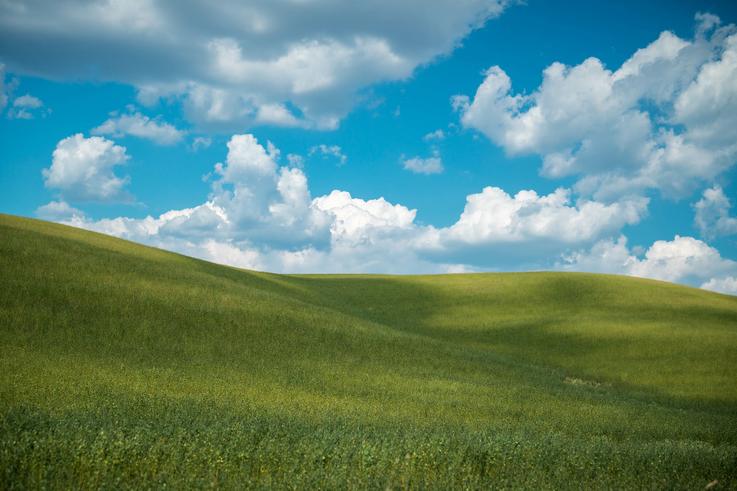Crete Senesi