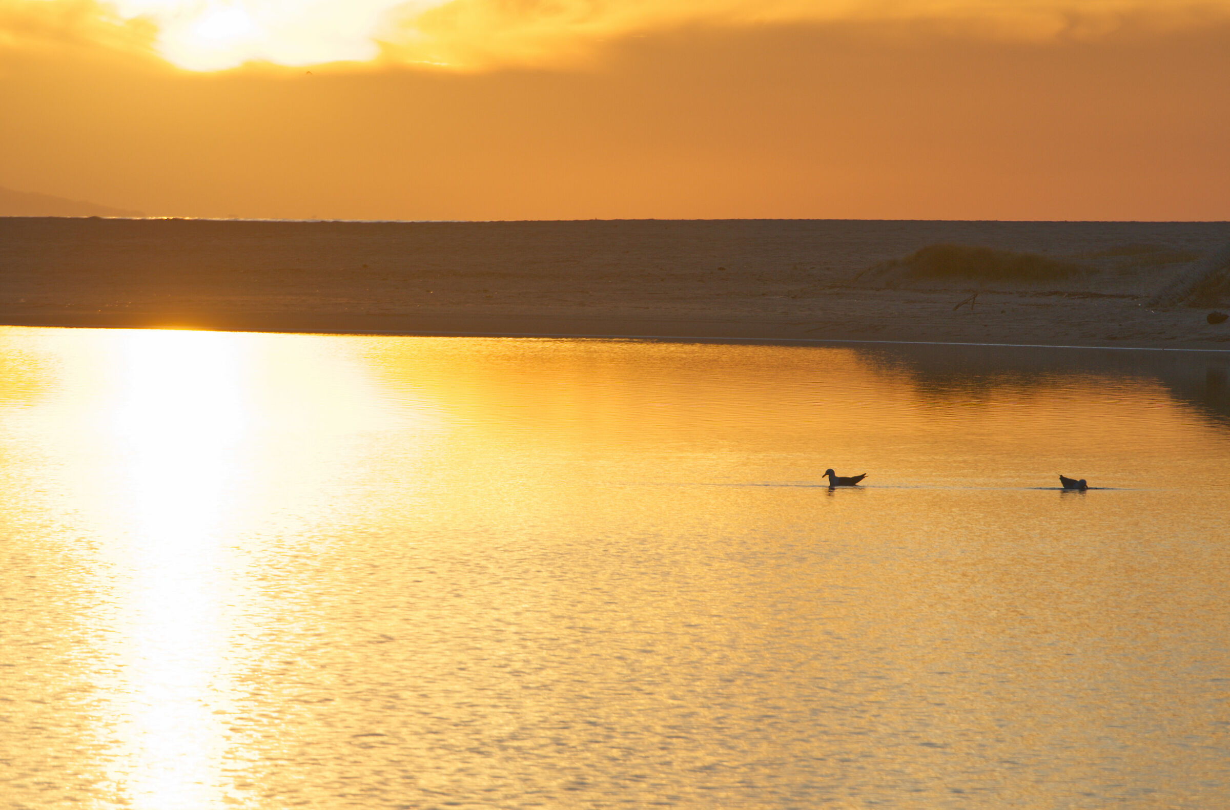 sunset