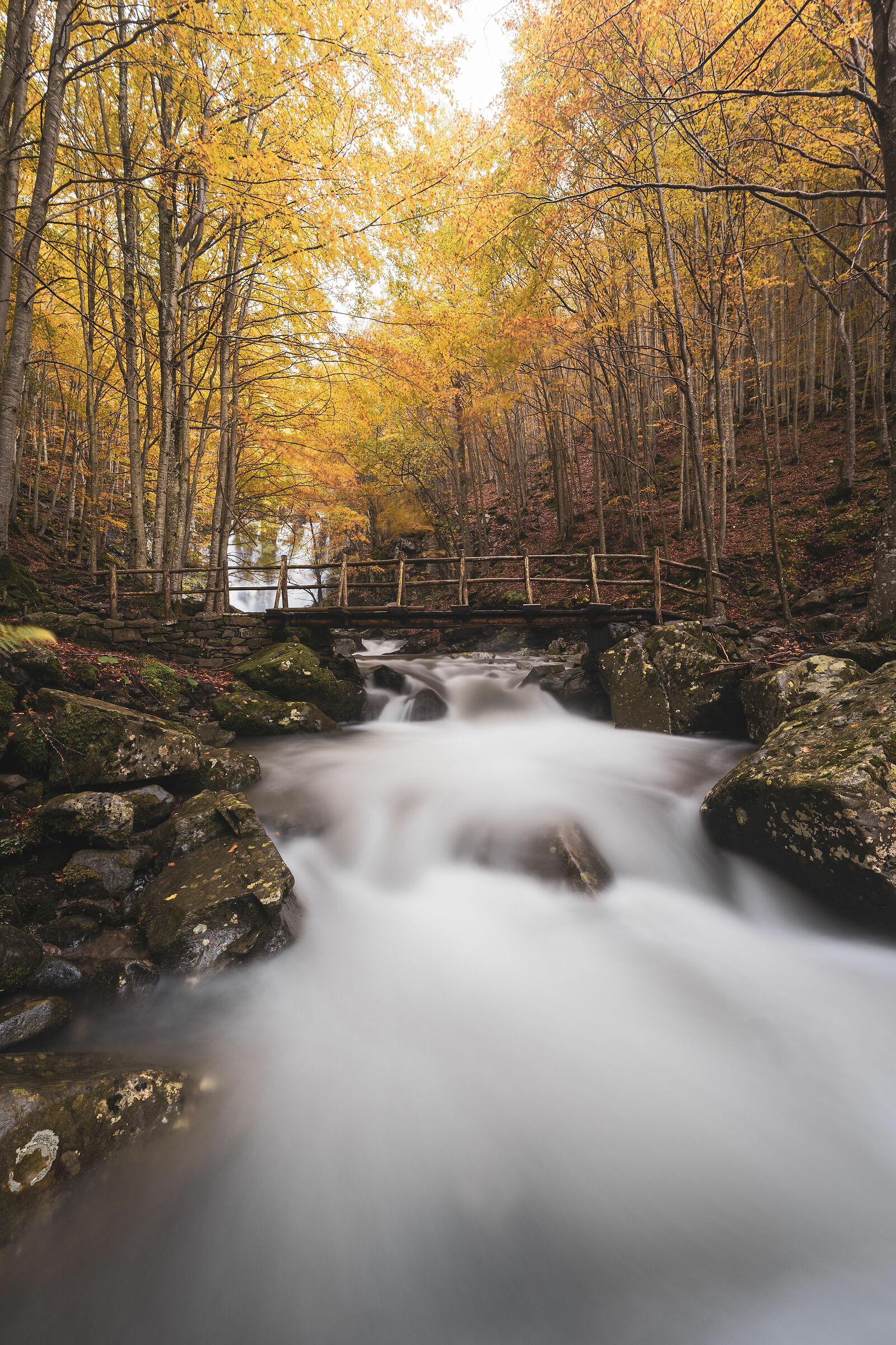Foliage alla Dardagna