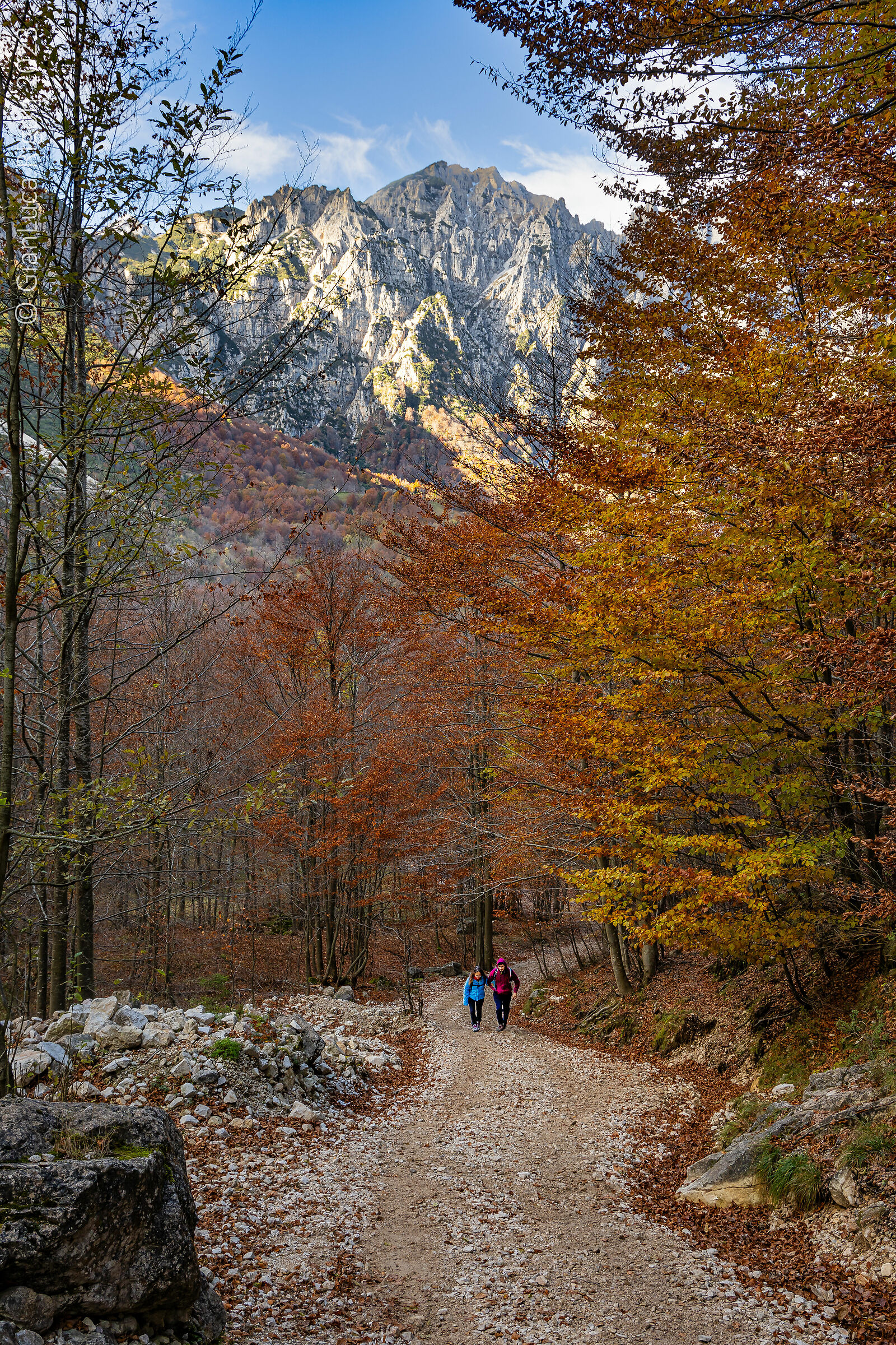 Camminando nel paradiso