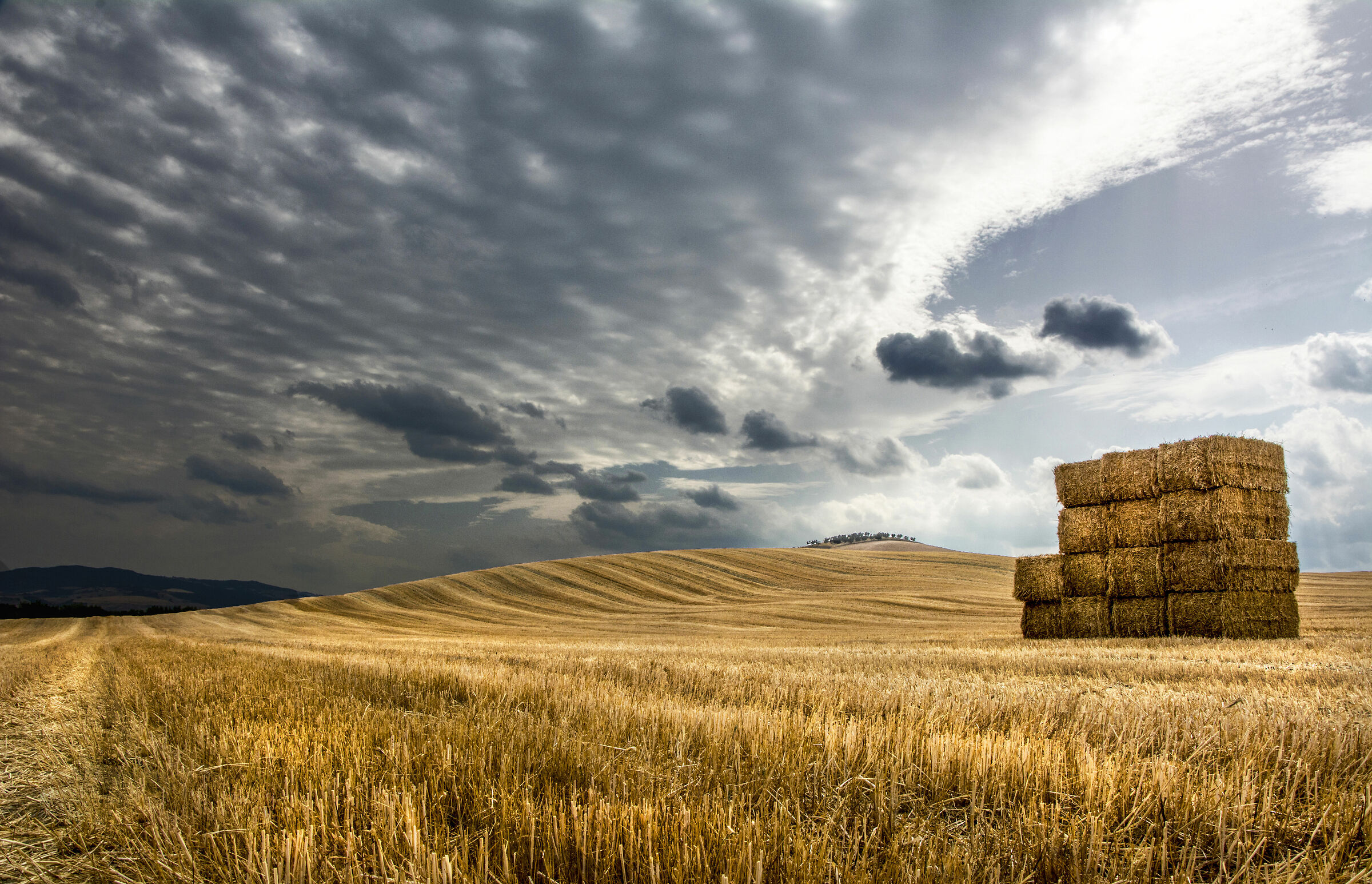 They say maybe the weather changes