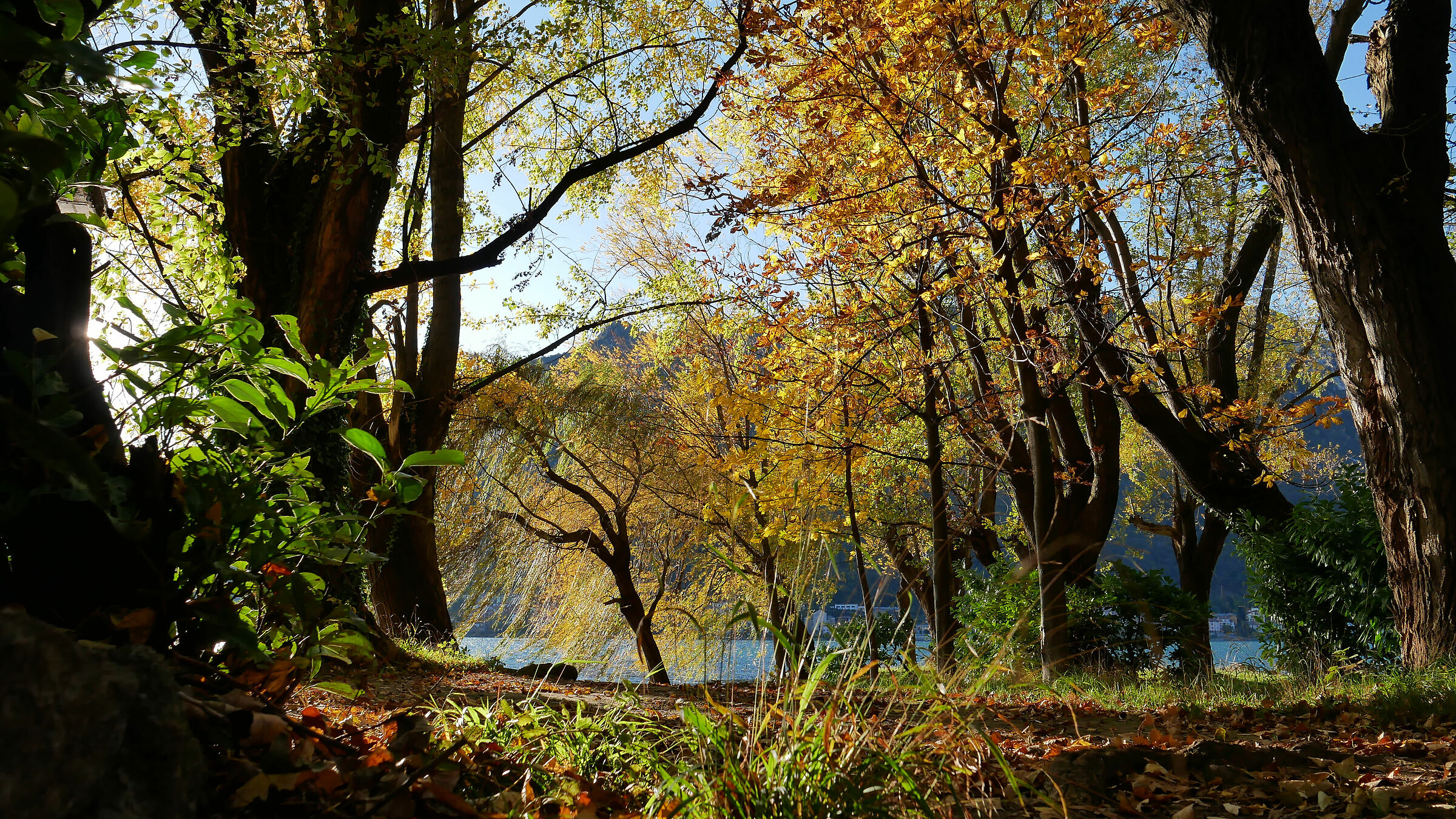 Autunno lungo l'Adda