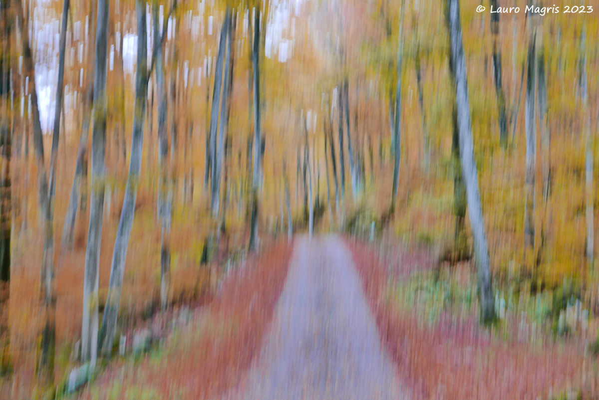 Salendo velocemente tra i colori
