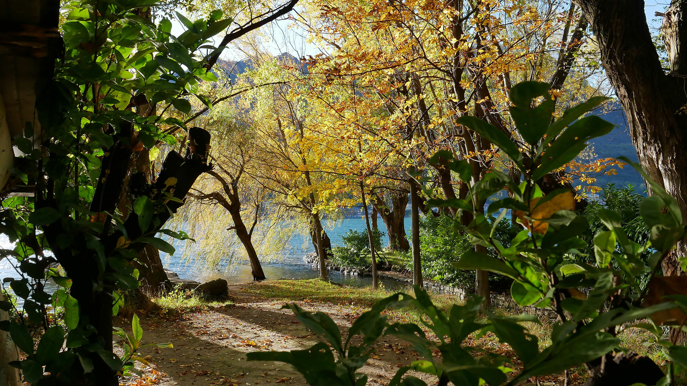 Autunno lungo l'Adda 2