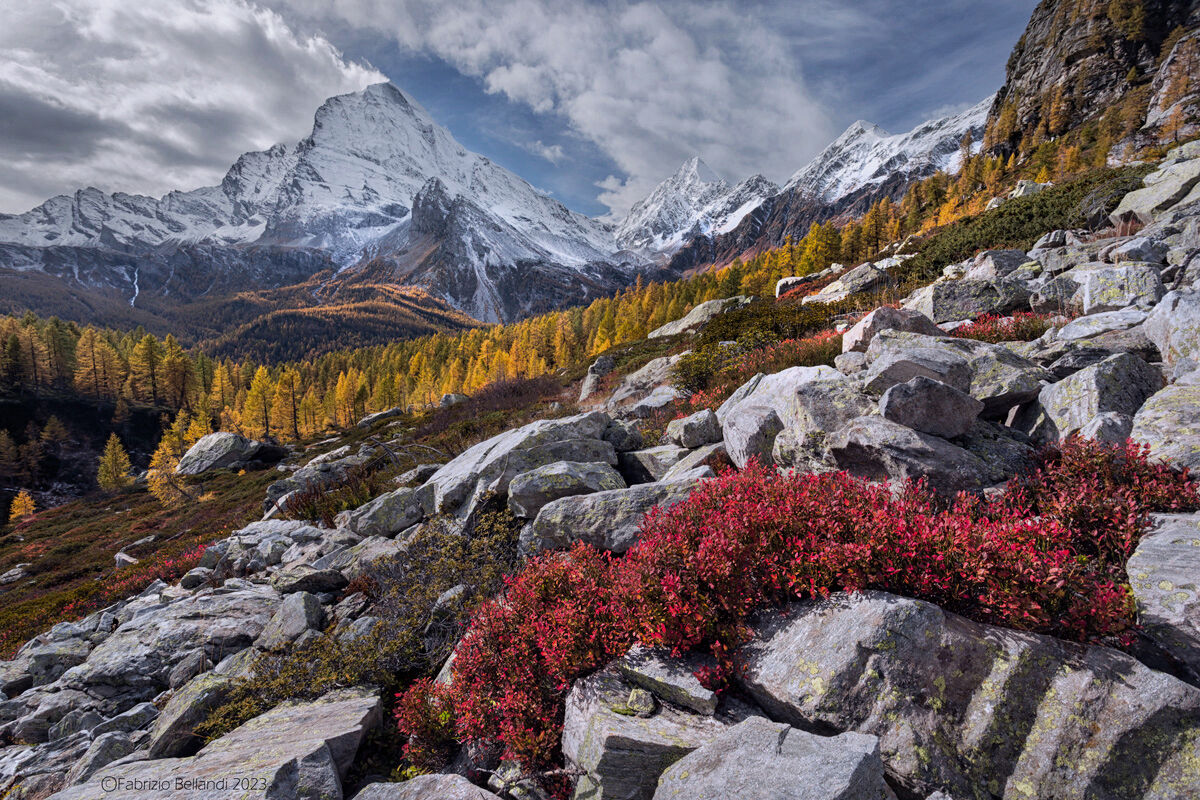 Colour is looking for space