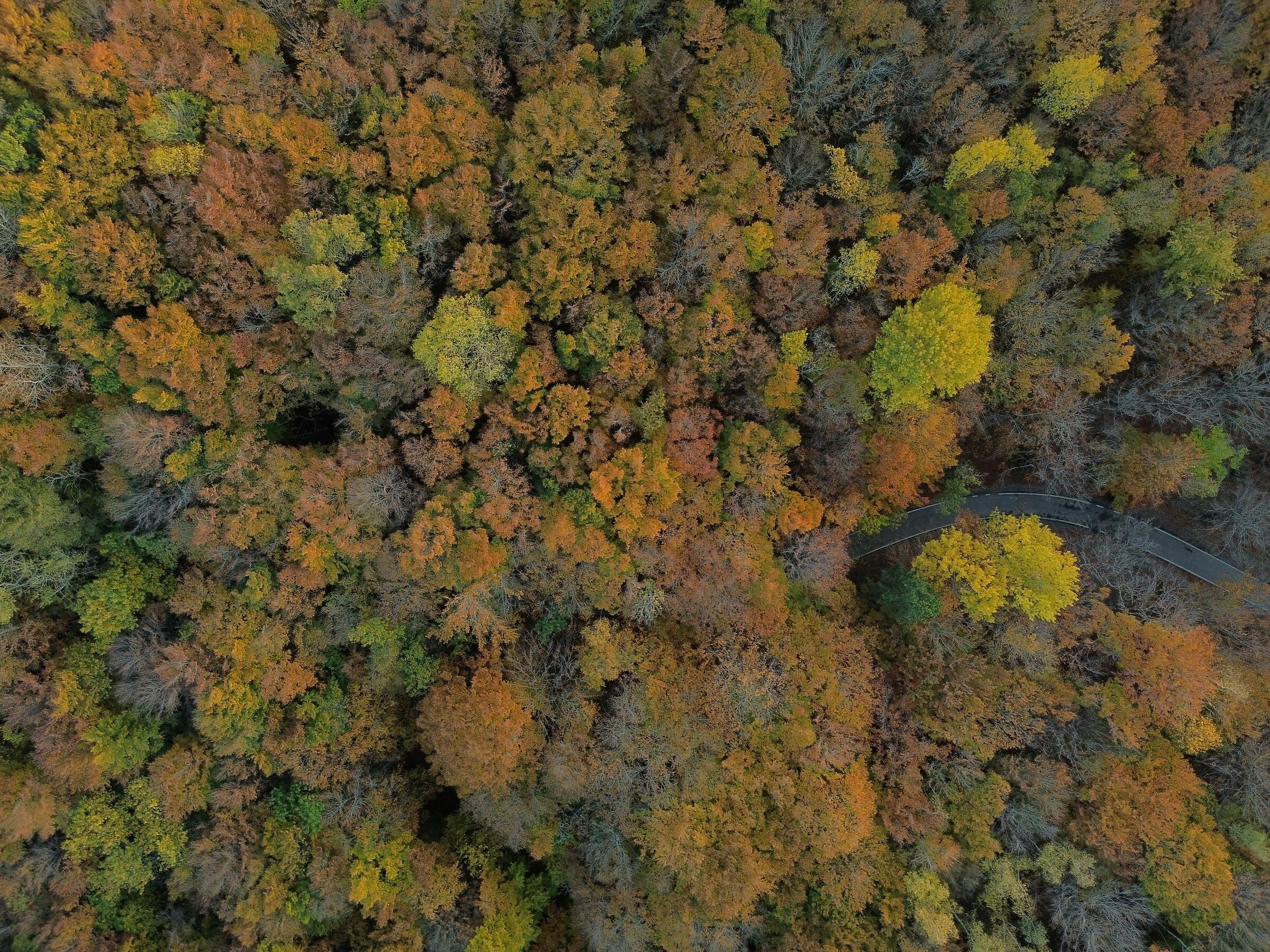 We have a little problem...