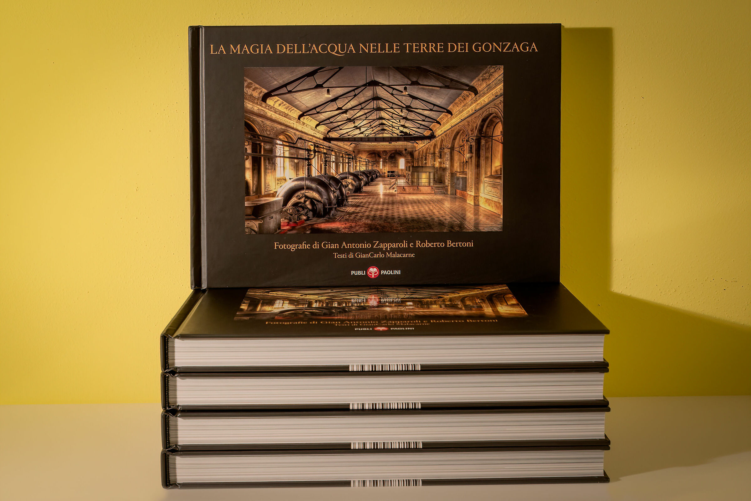 The Magic of Water in the Gonzaga Lands