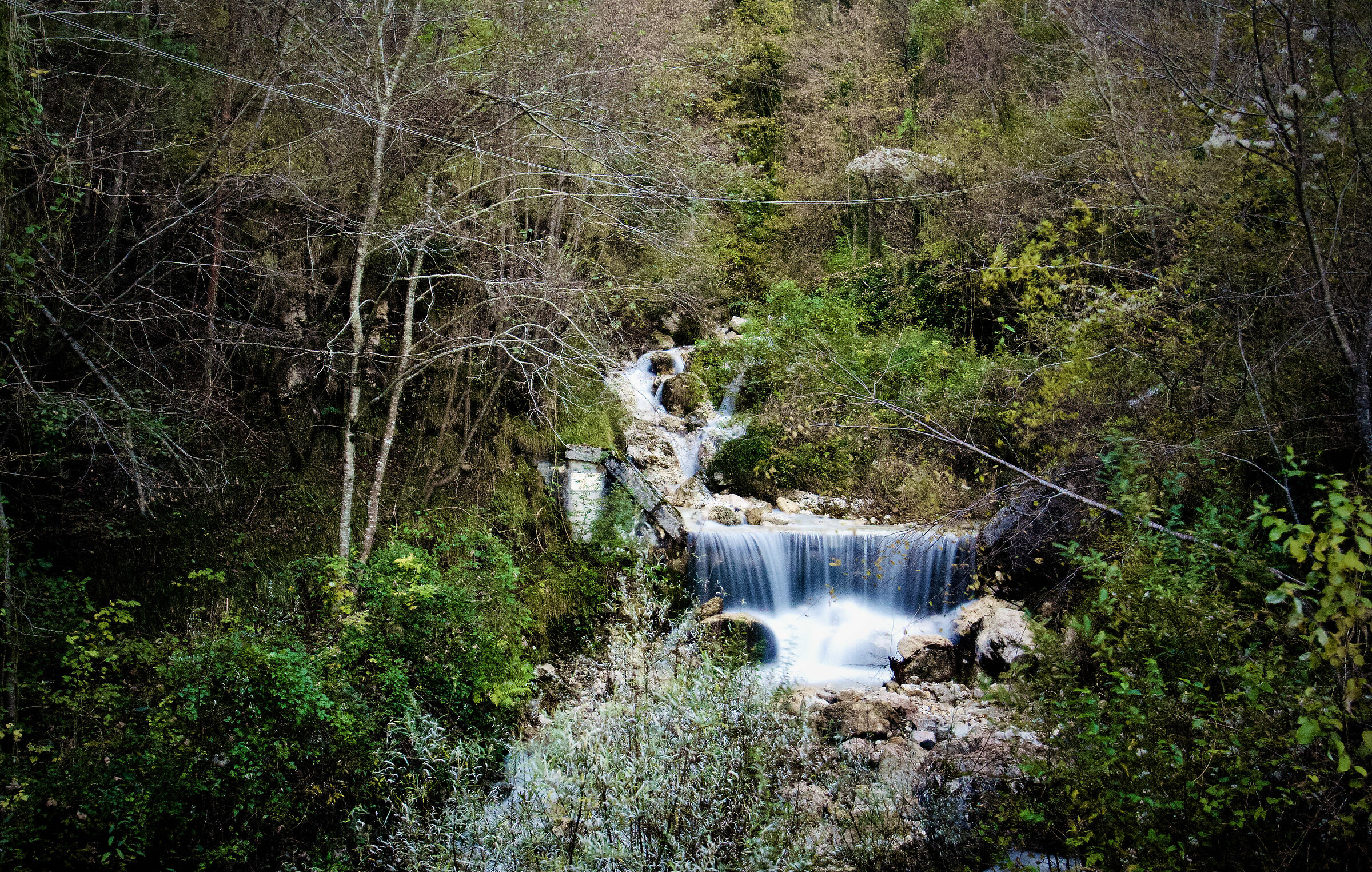 Ruscelli e boschi del vicentino