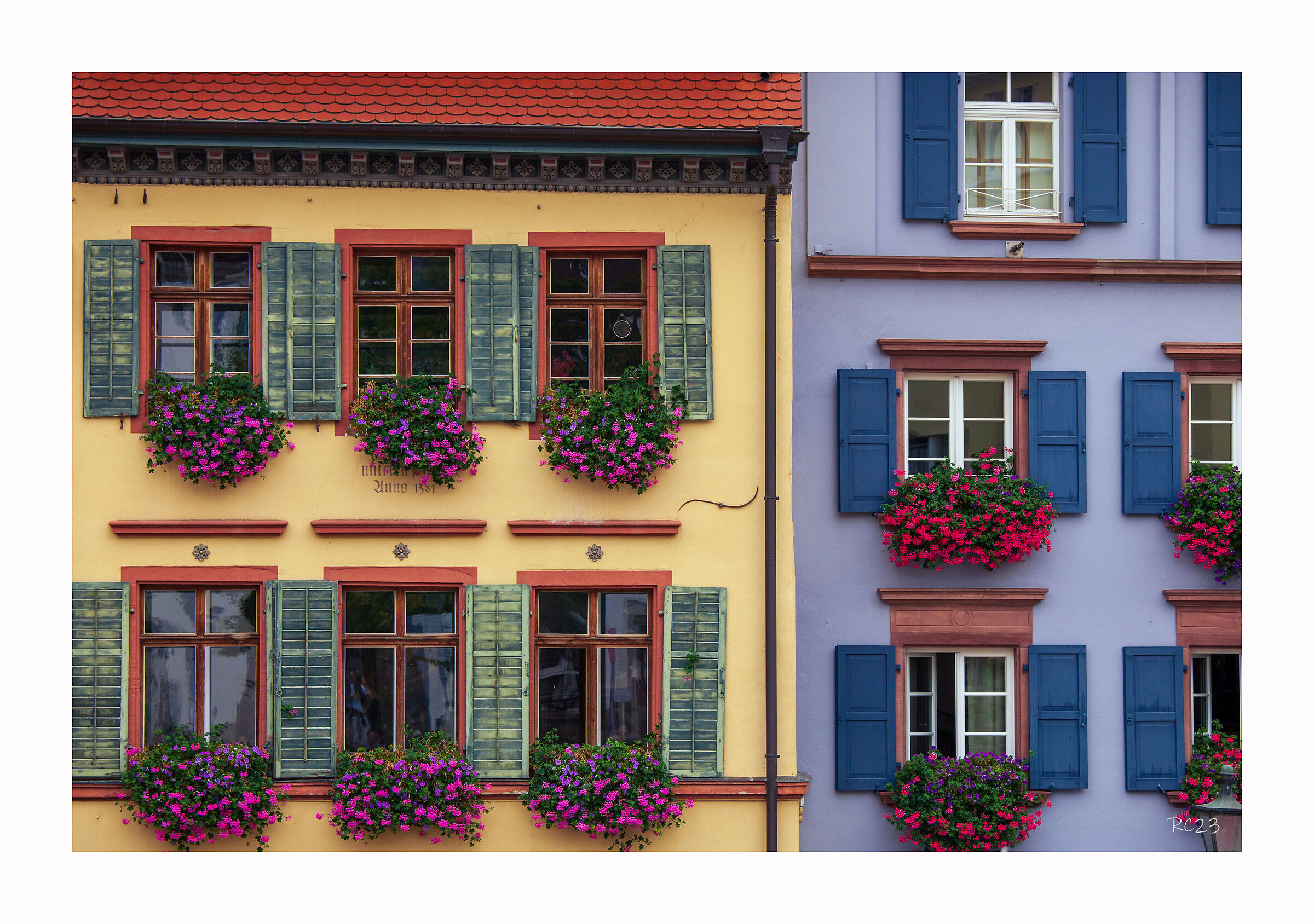 La meraviglia delle finestre.