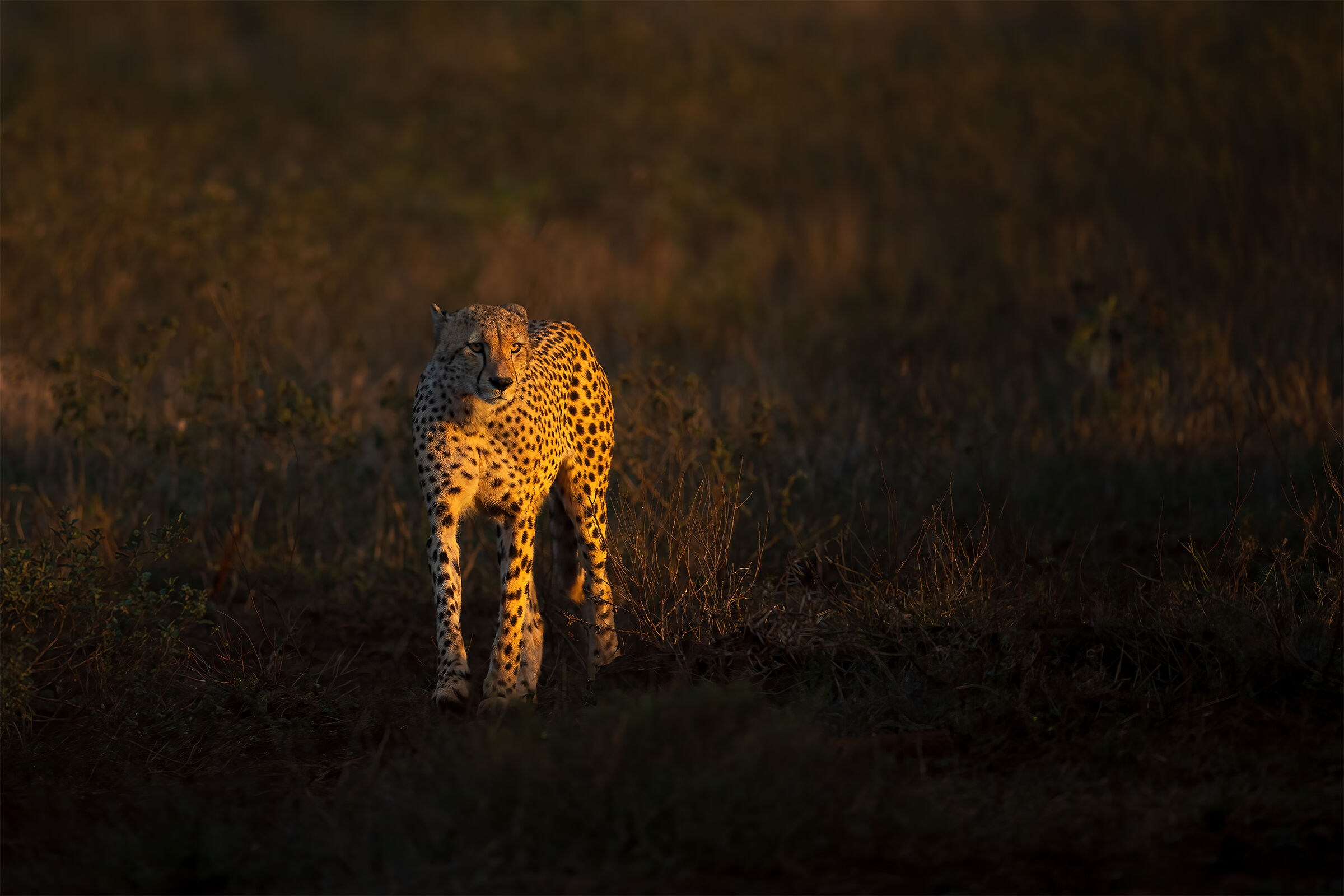 Ultimi raggi di sole