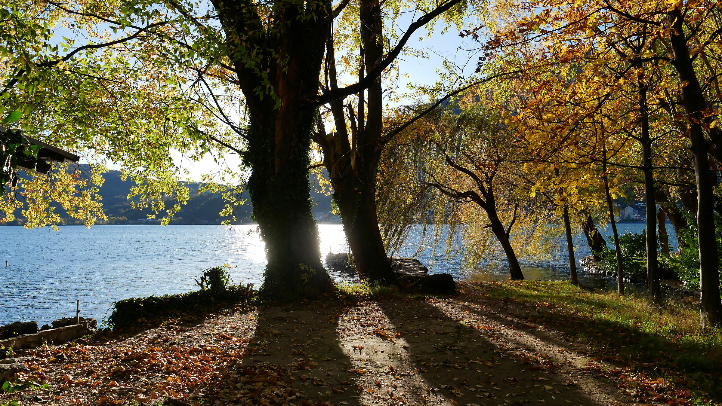 Autunno lungo l'Adda 3