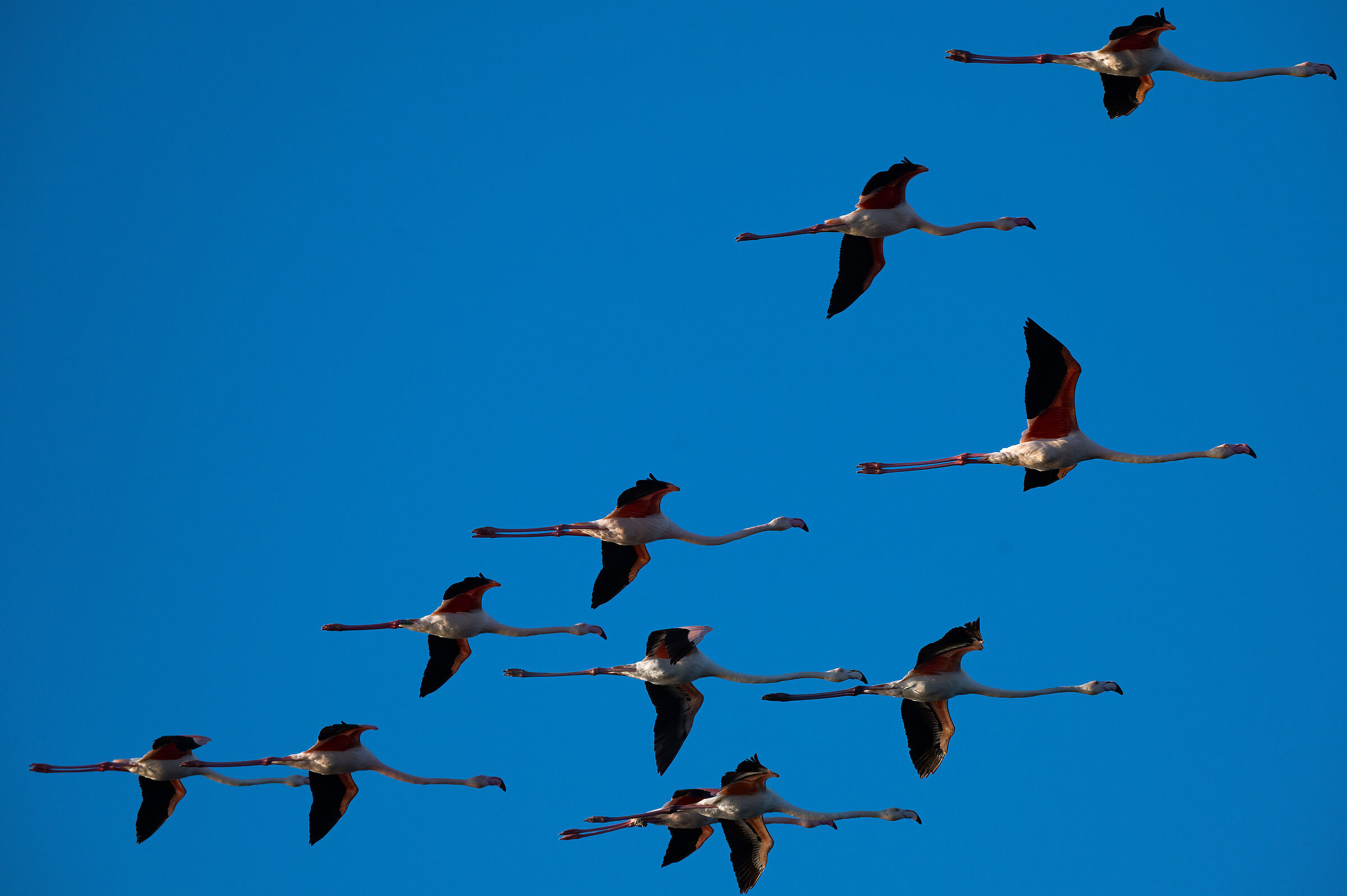 in perfect formation