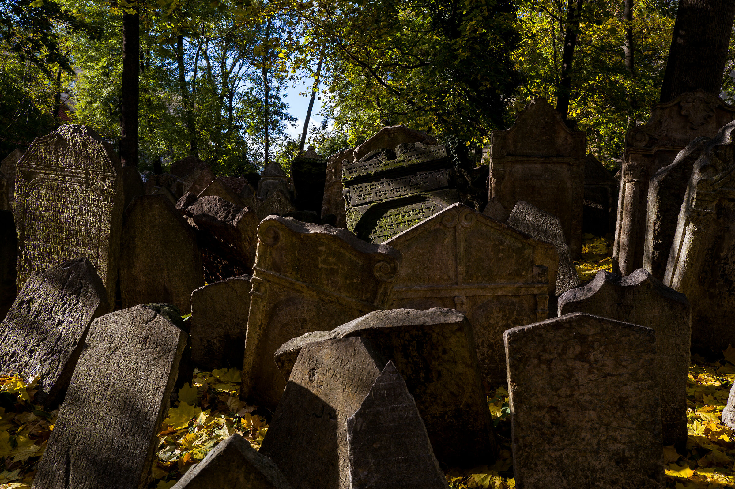 Vecchio cimitero ebraico