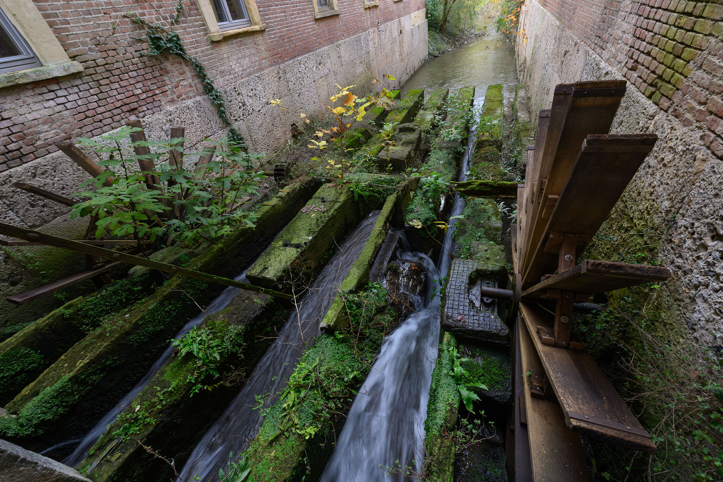 Mulini asciutti, parco di Monza