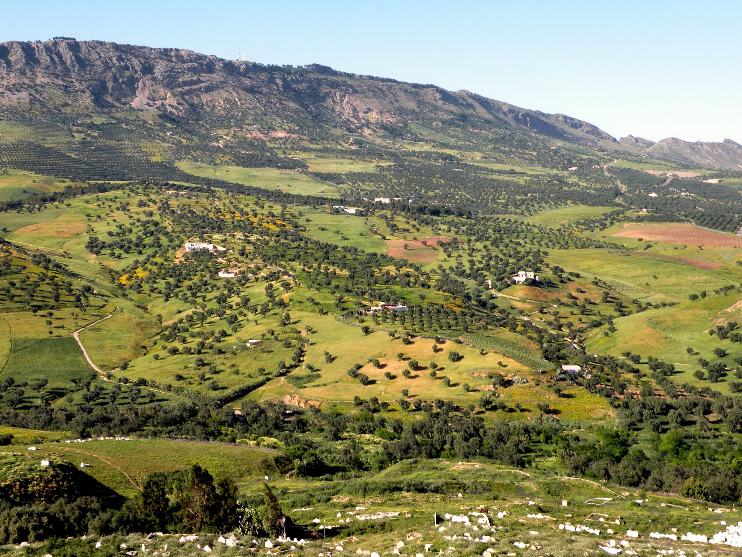Non solo deserto (Marocco)