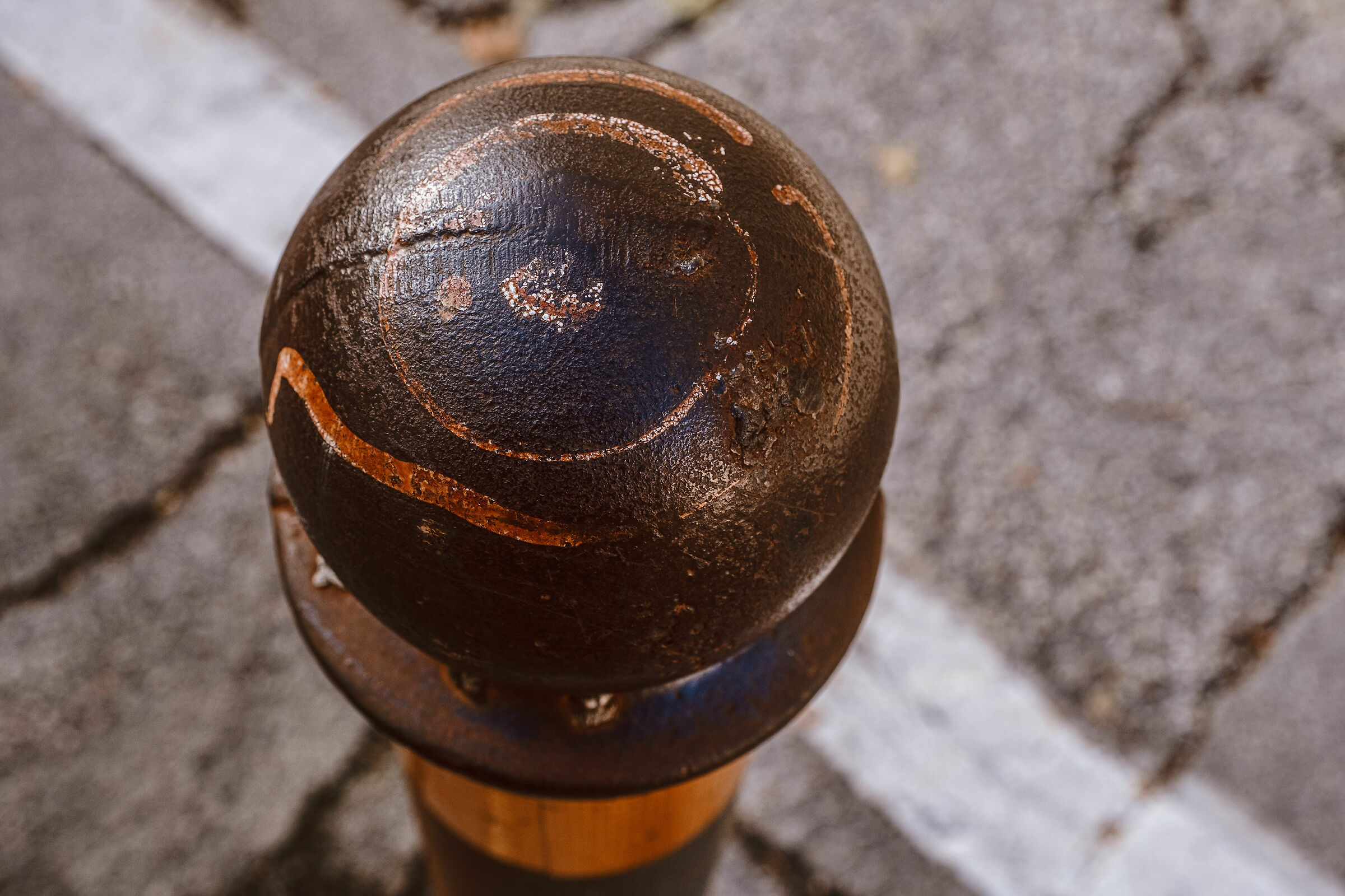 Looking for something