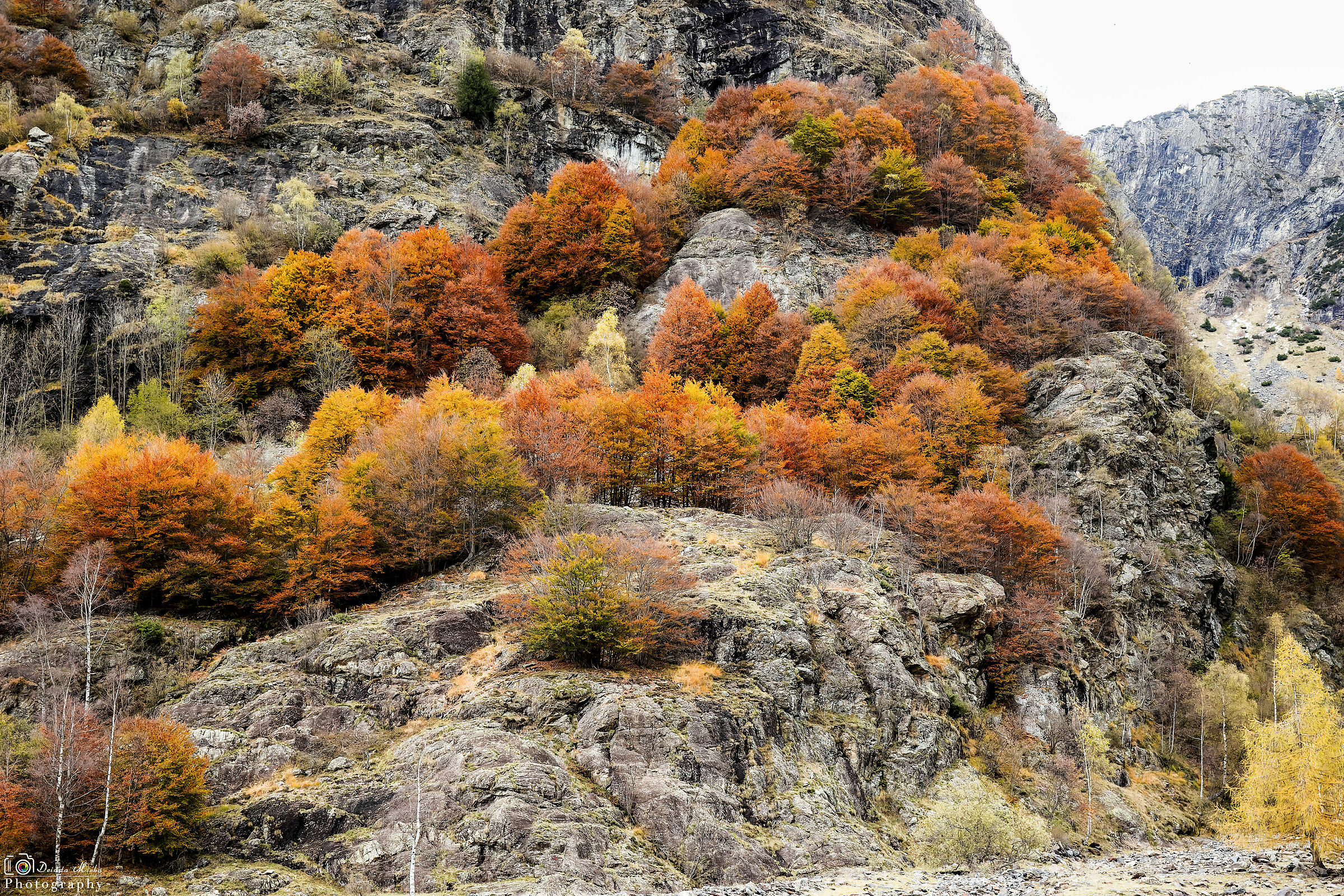 Decorazione autunnale