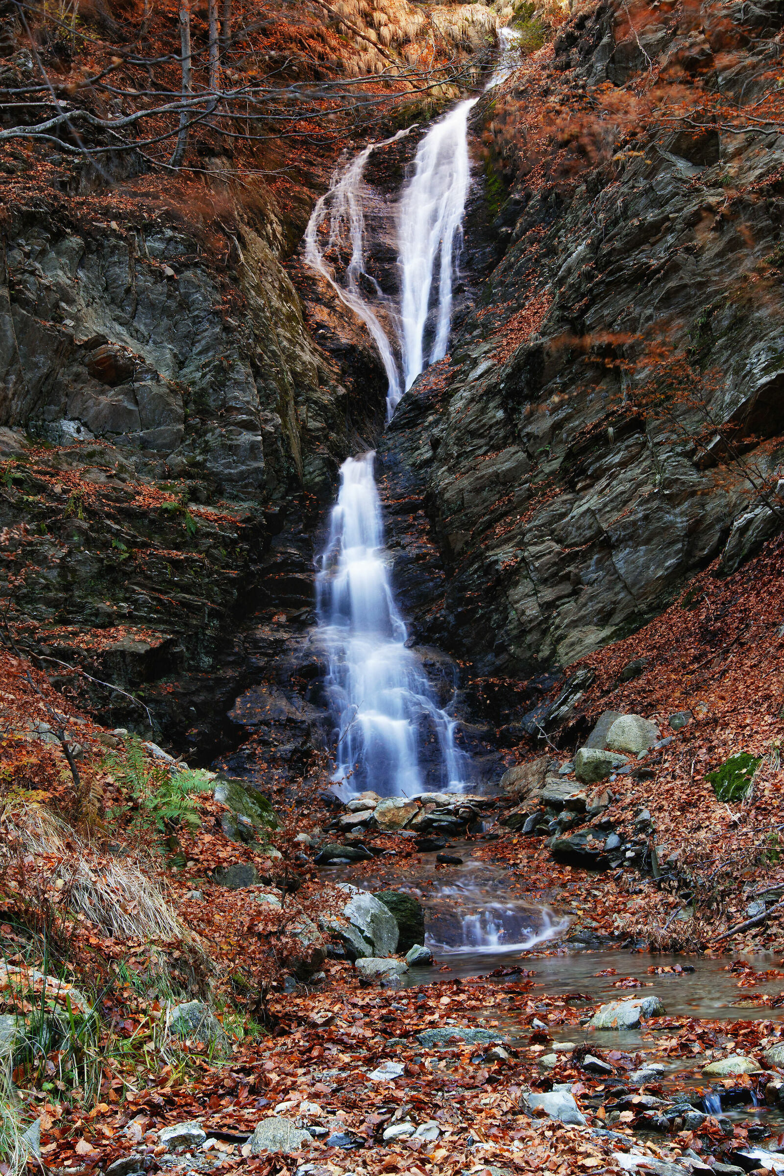 Cadono le foglie e "casca l'acqua" al Blitz #1