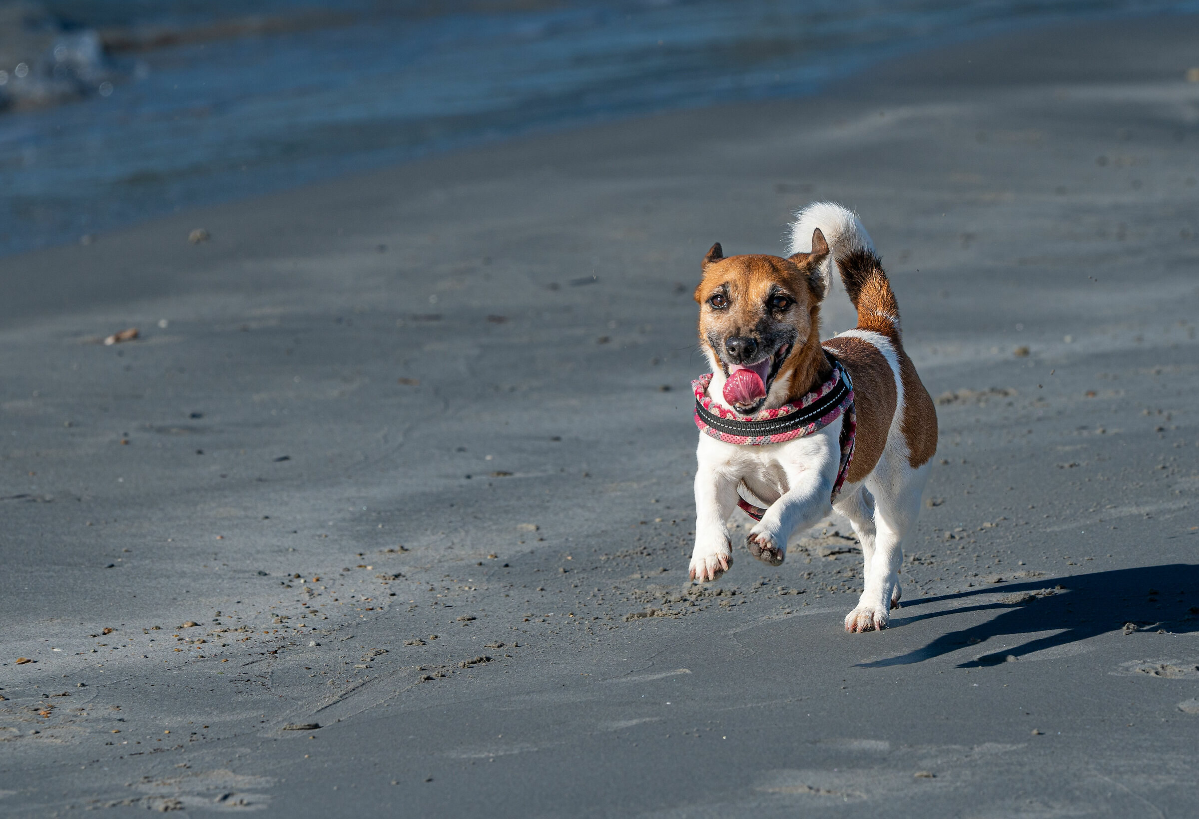 Maya on the beach