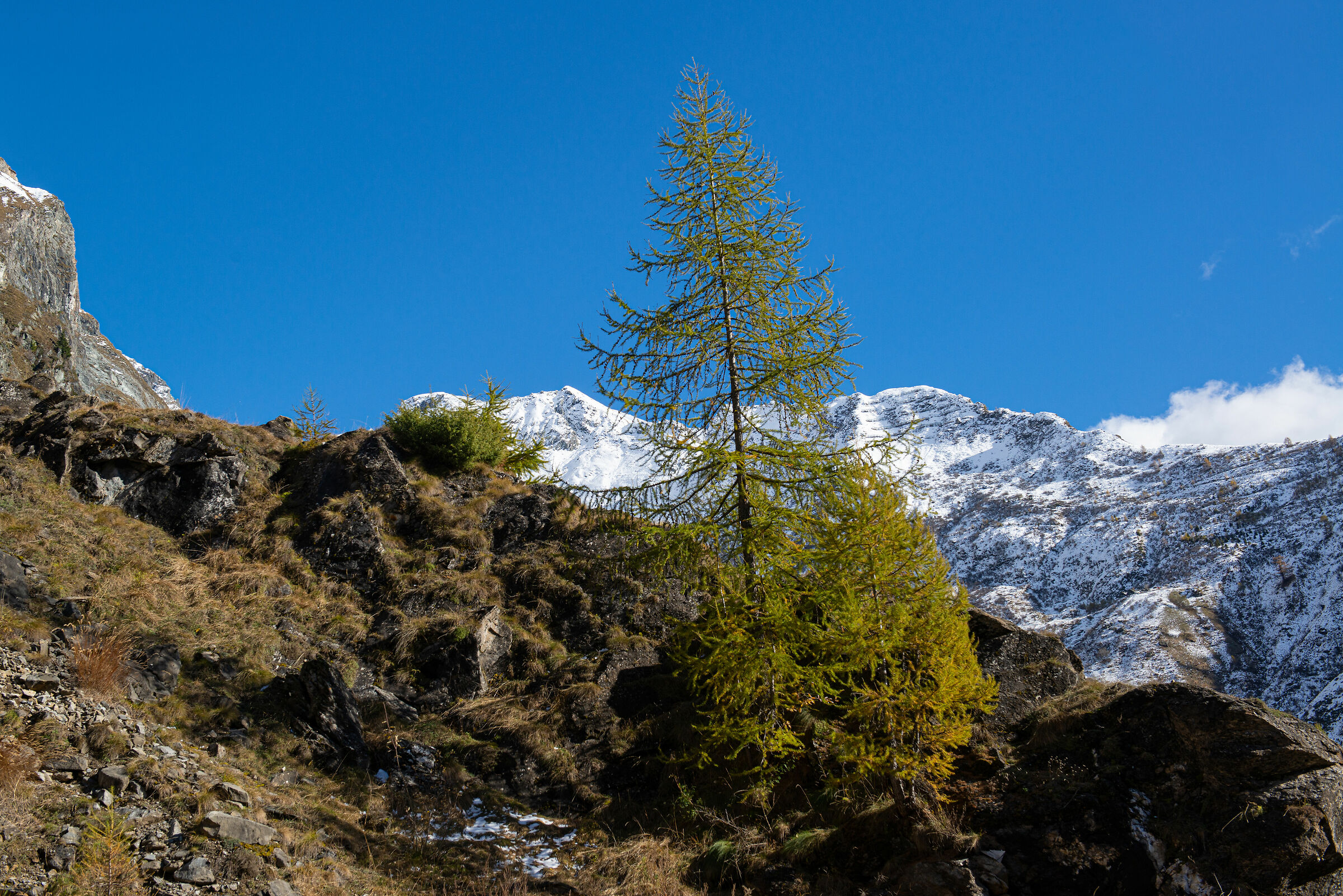 Between heaven and earth