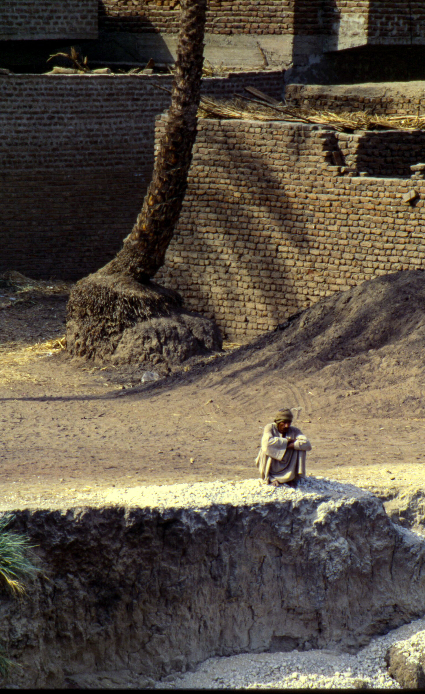 Che Sarà...Nilo 1996