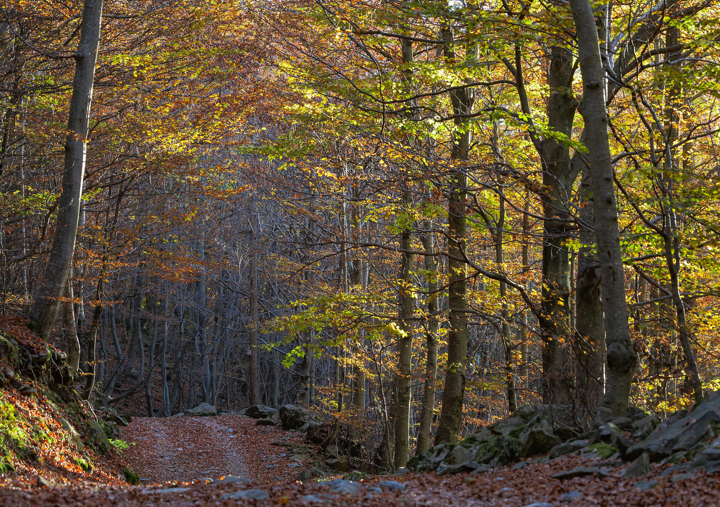 Autumn in Val Seriana