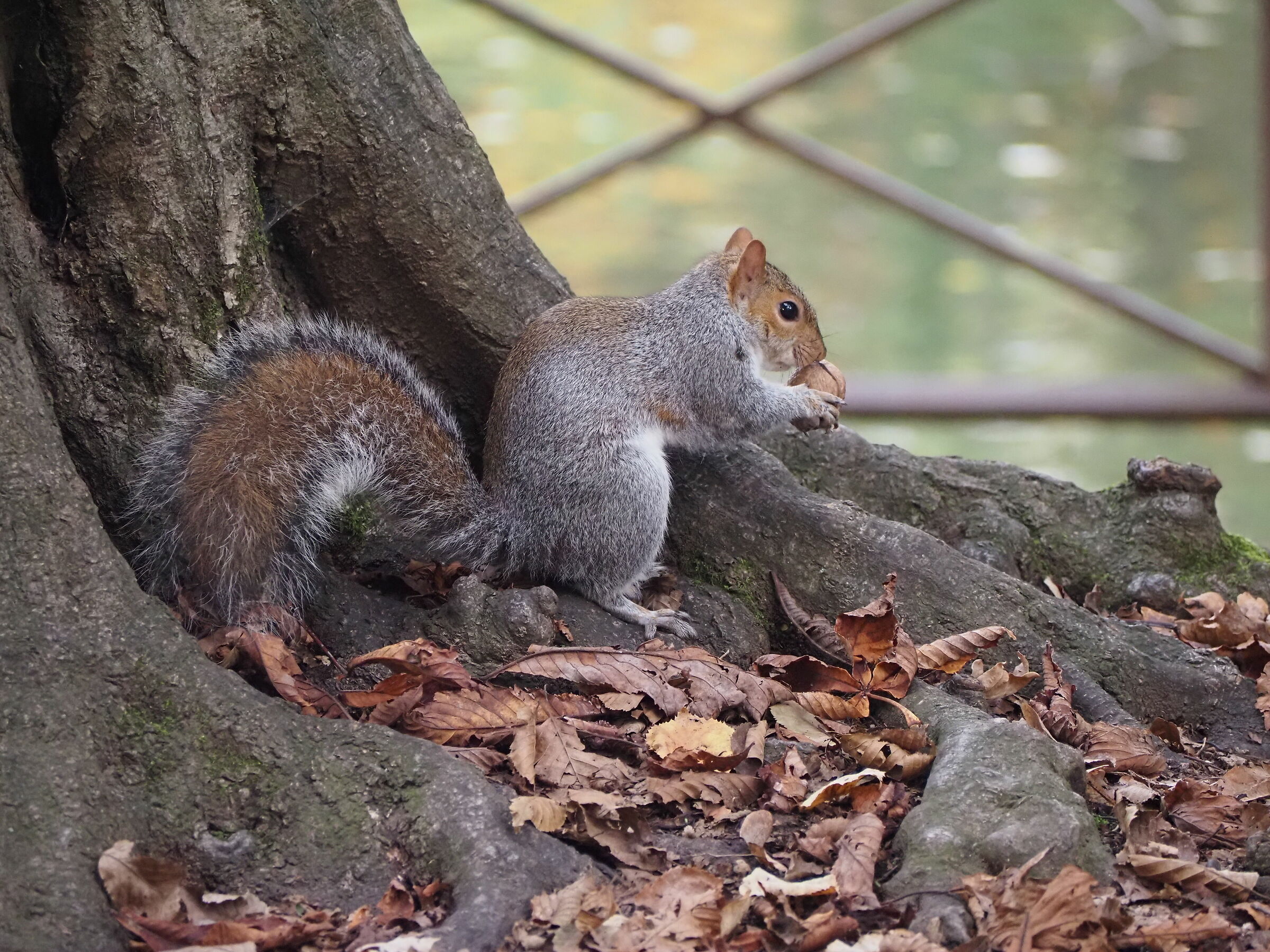 " Lo spuntino  è assicurato "