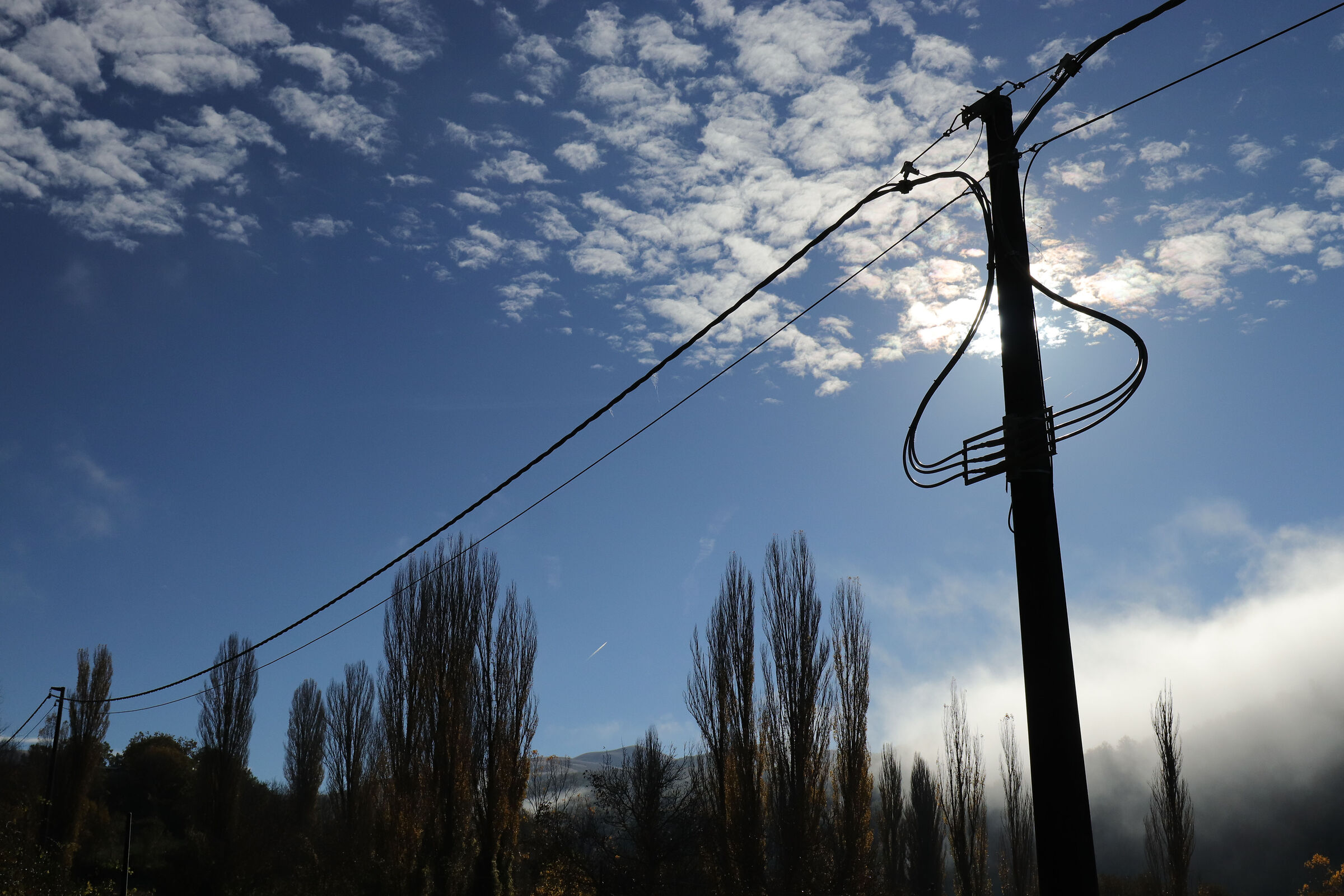 Stanno tutti bene...