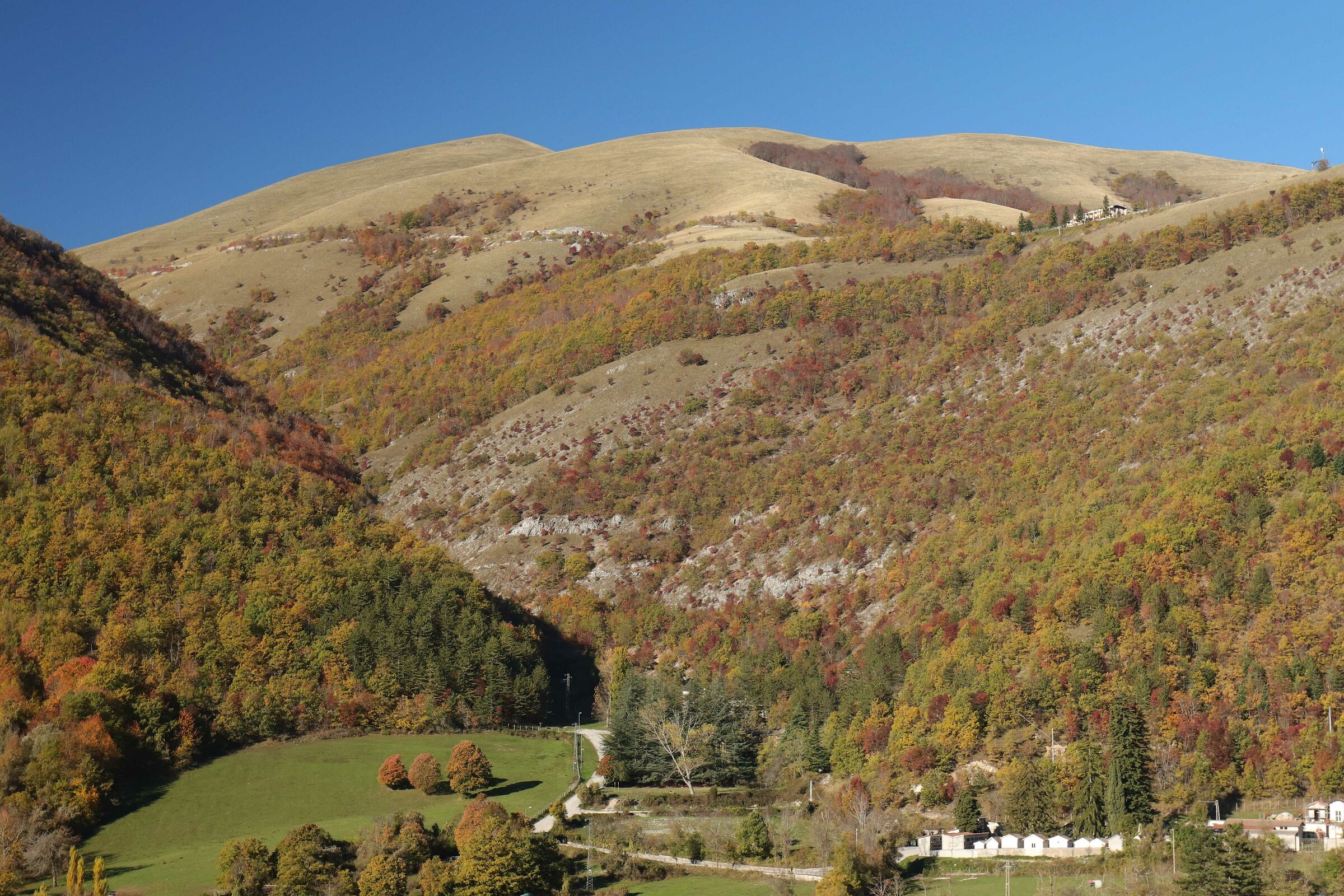 I tre alberelli in fila...