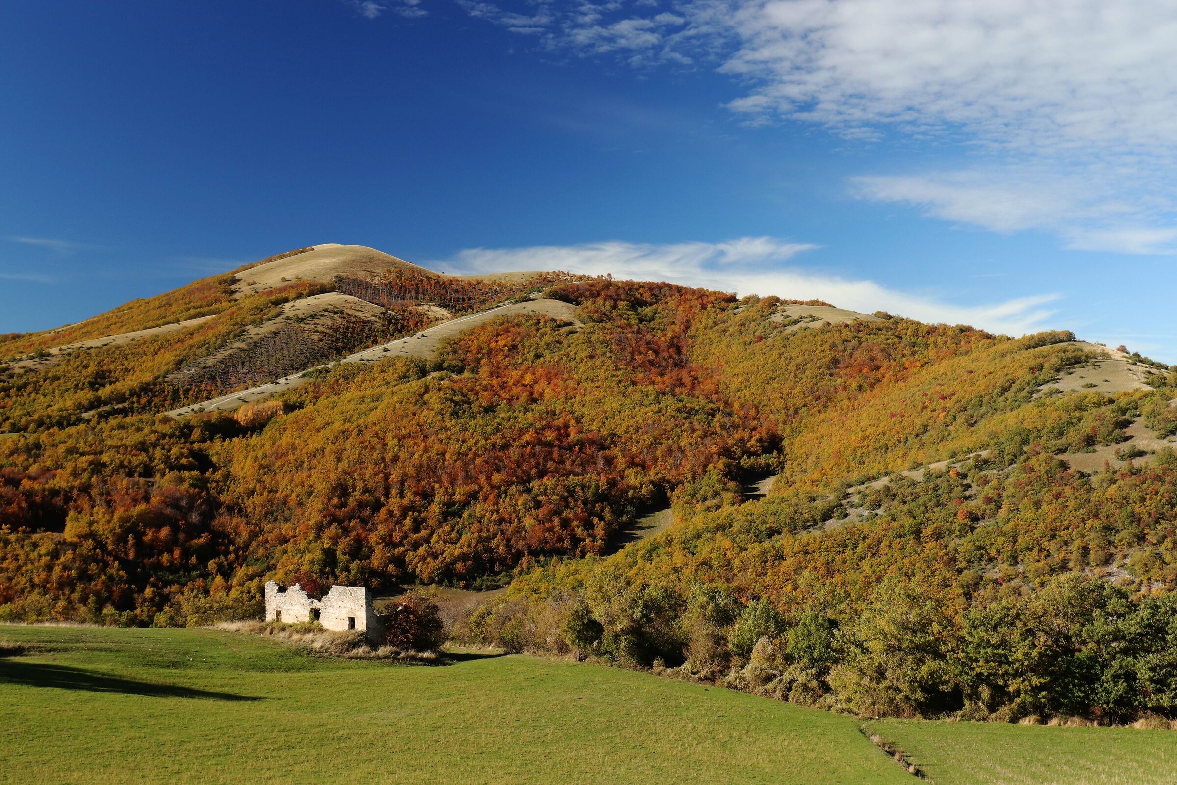 Remnants of Past Life