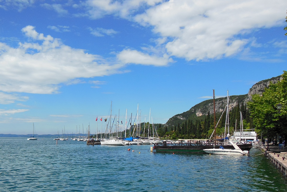harbor view of the lake